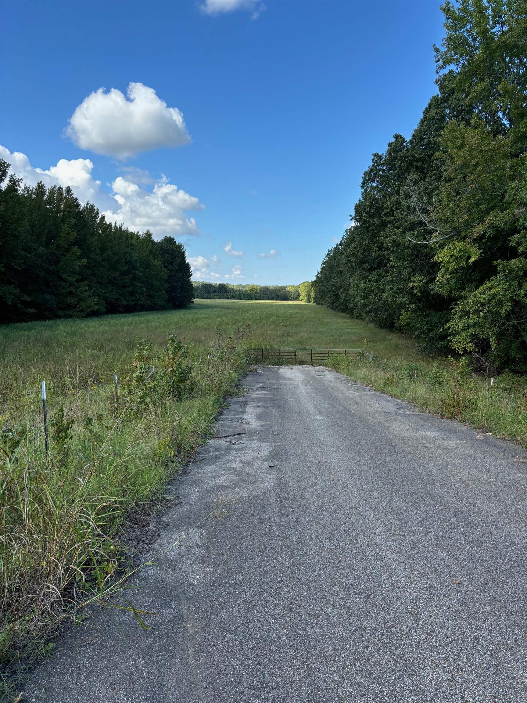 45.85  acres Hwy 141  Jonesboro, AR