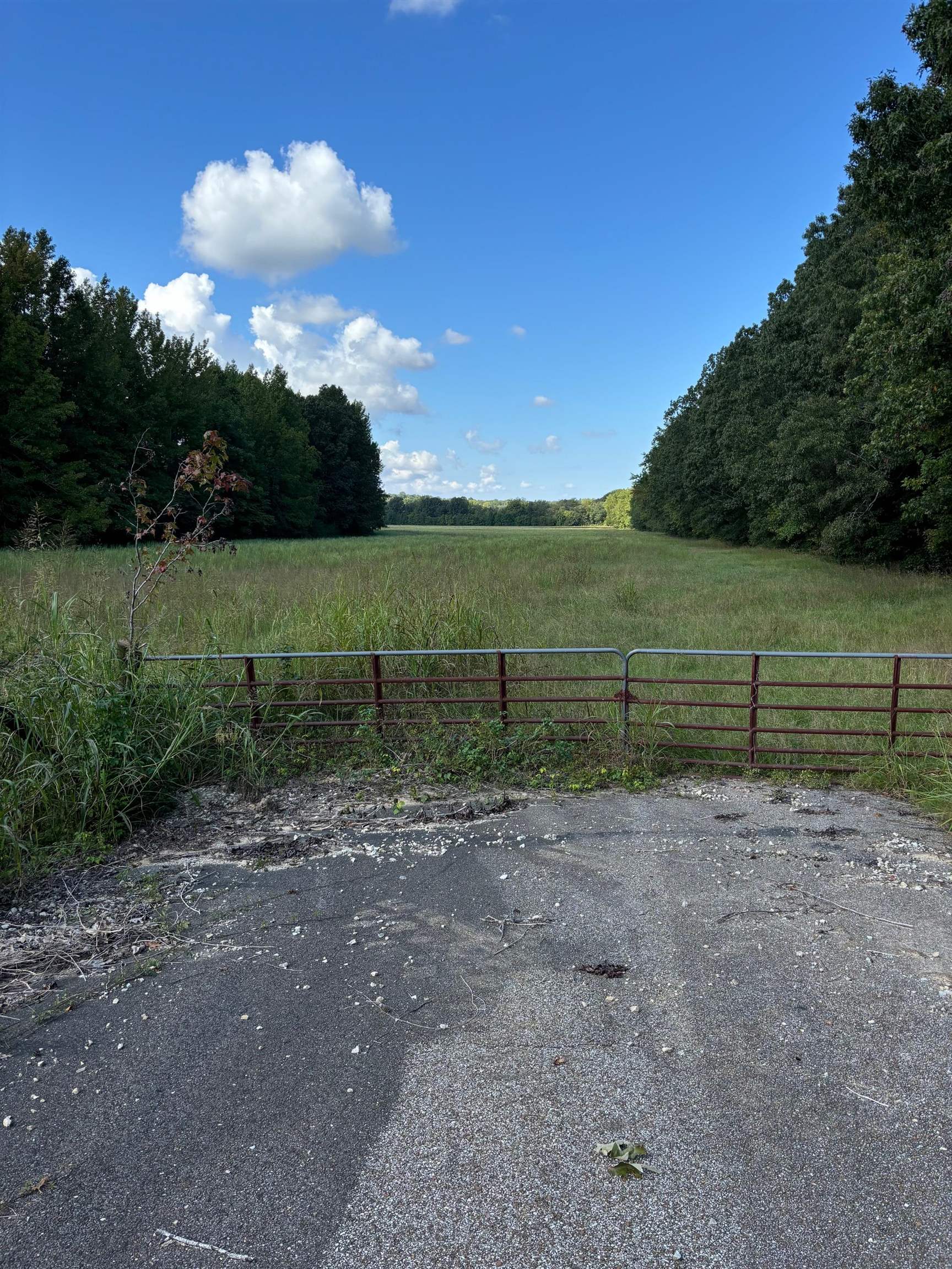 45.85  acres Hwy 141  Jonesboro, AR