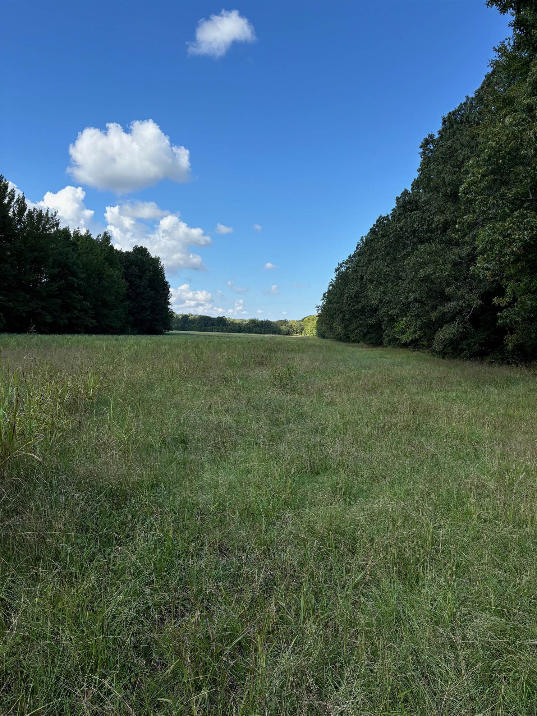 45.85  acres Hwy 141  Jonesboro, AR