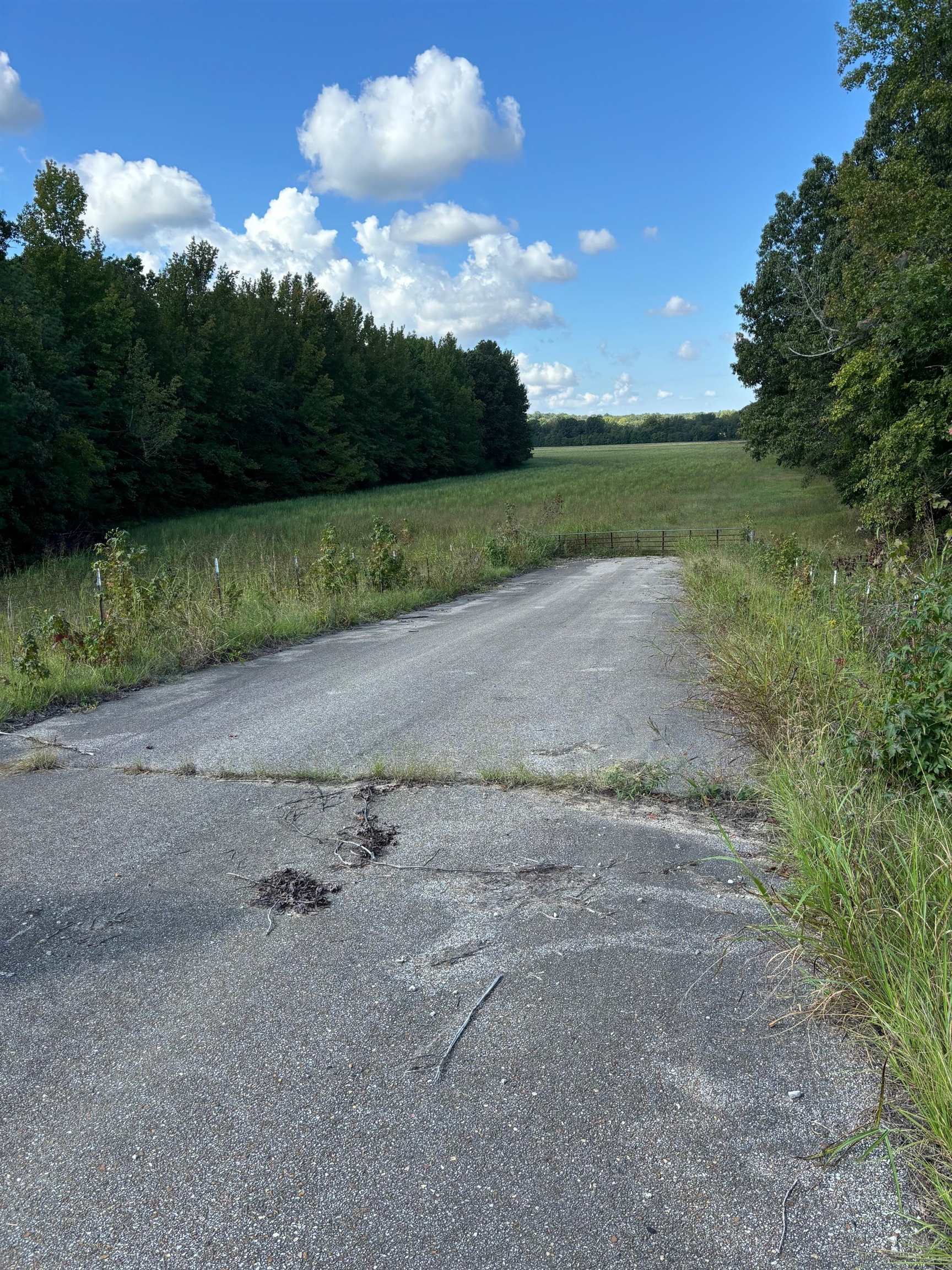 45.85  acres Hwy 141  Jonesboro, AR