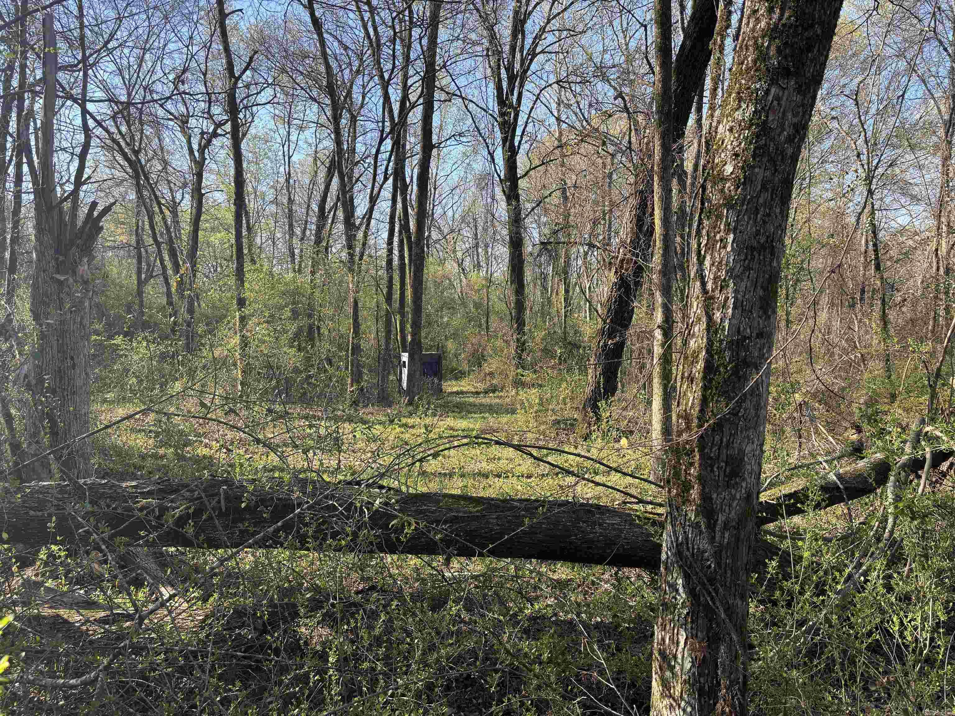 504  Howell  Cabot, AR