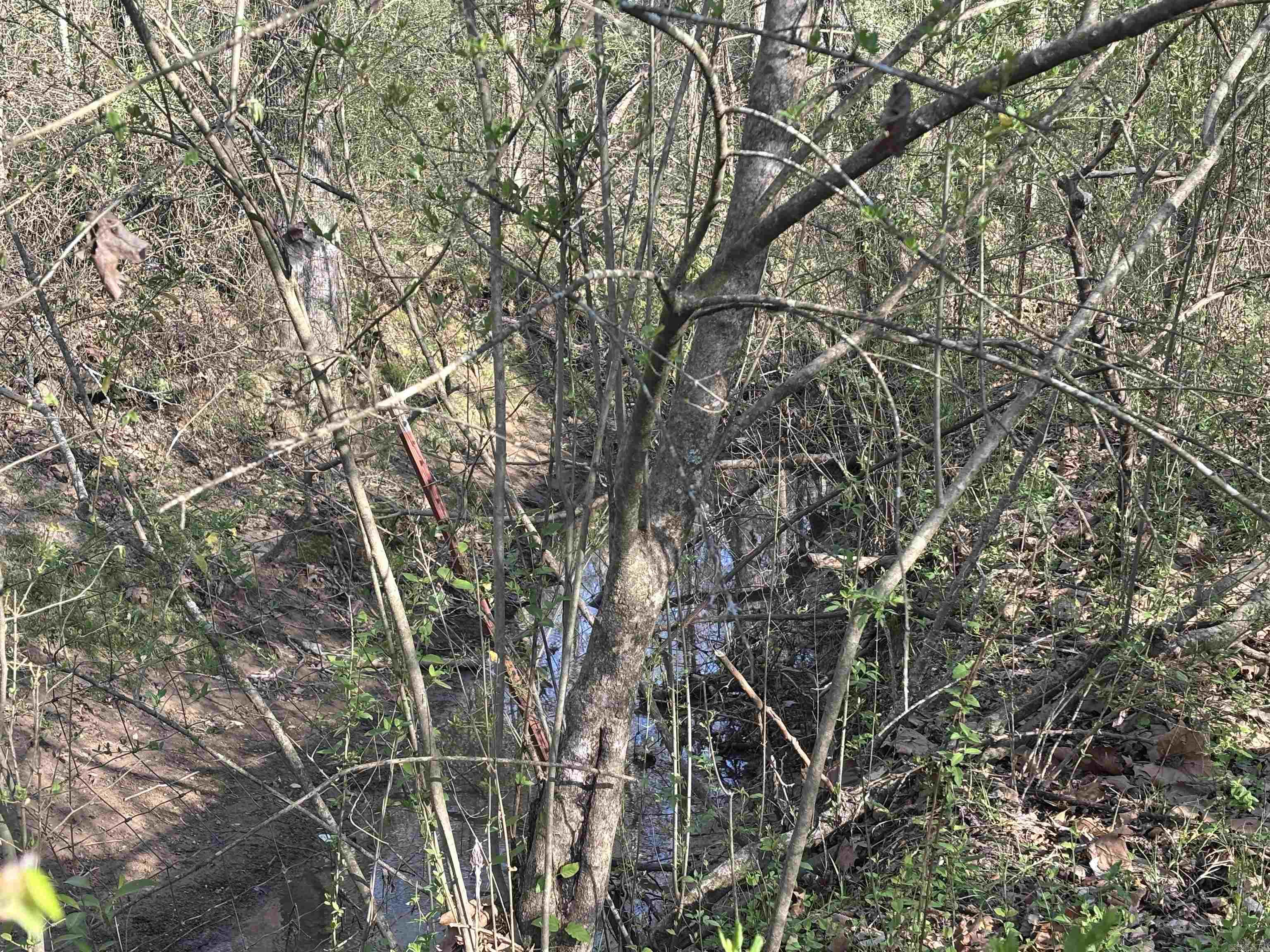 504  Howell  Cabot, AR