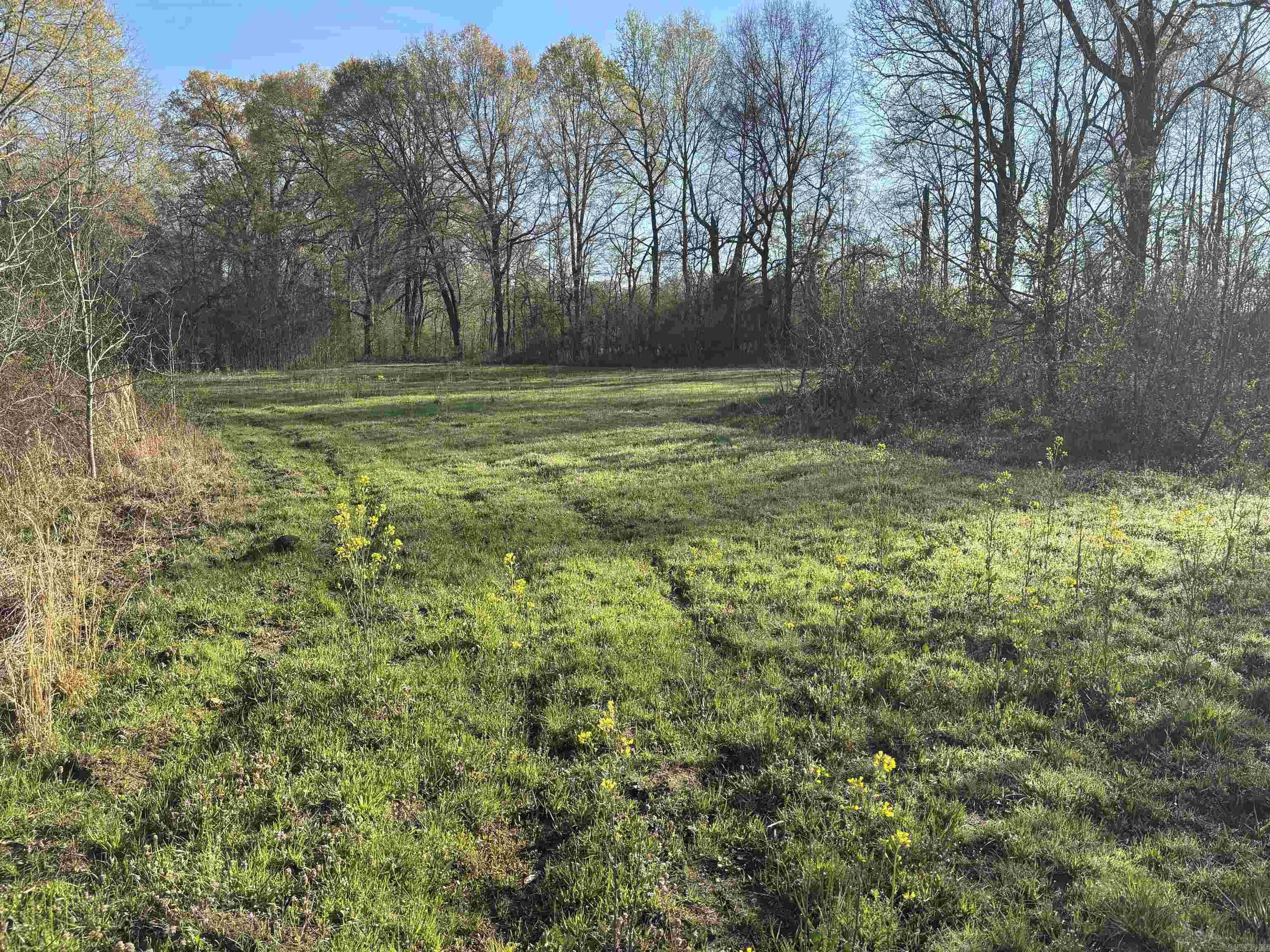 504  Howell  Cabot, AR