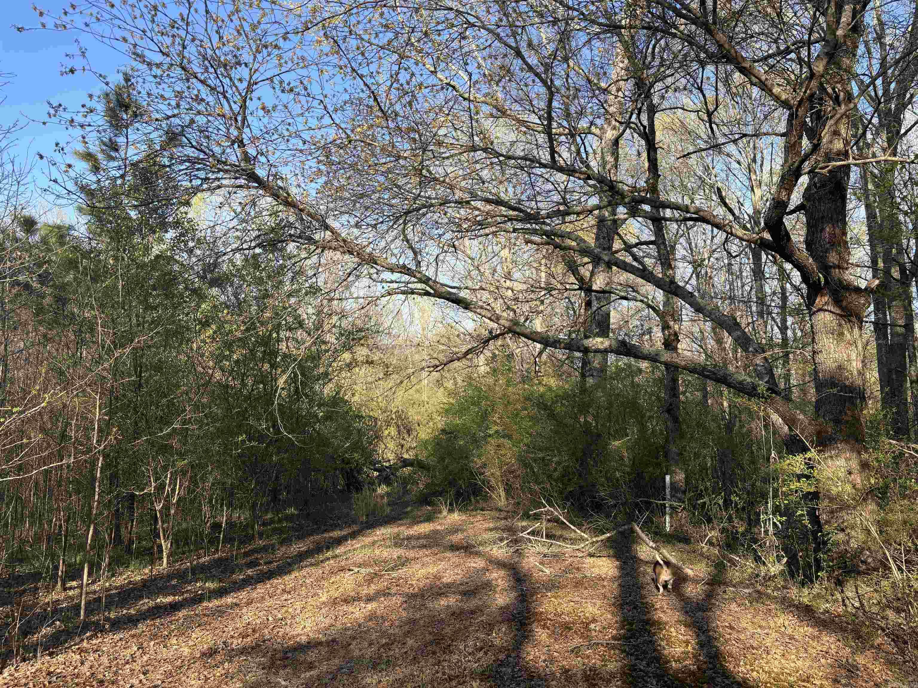504  Howell  Cabot, AR