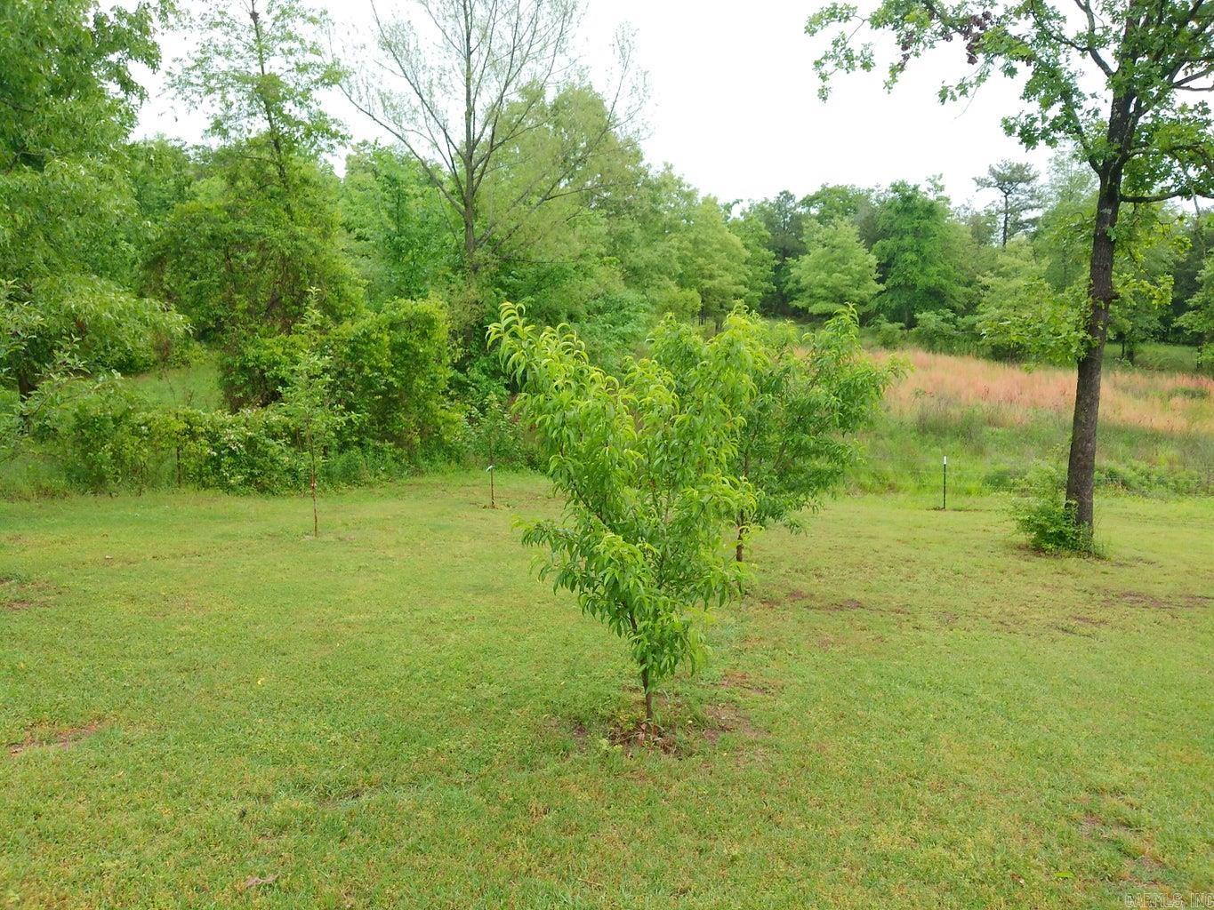 68  Kinder  Russellville, AR