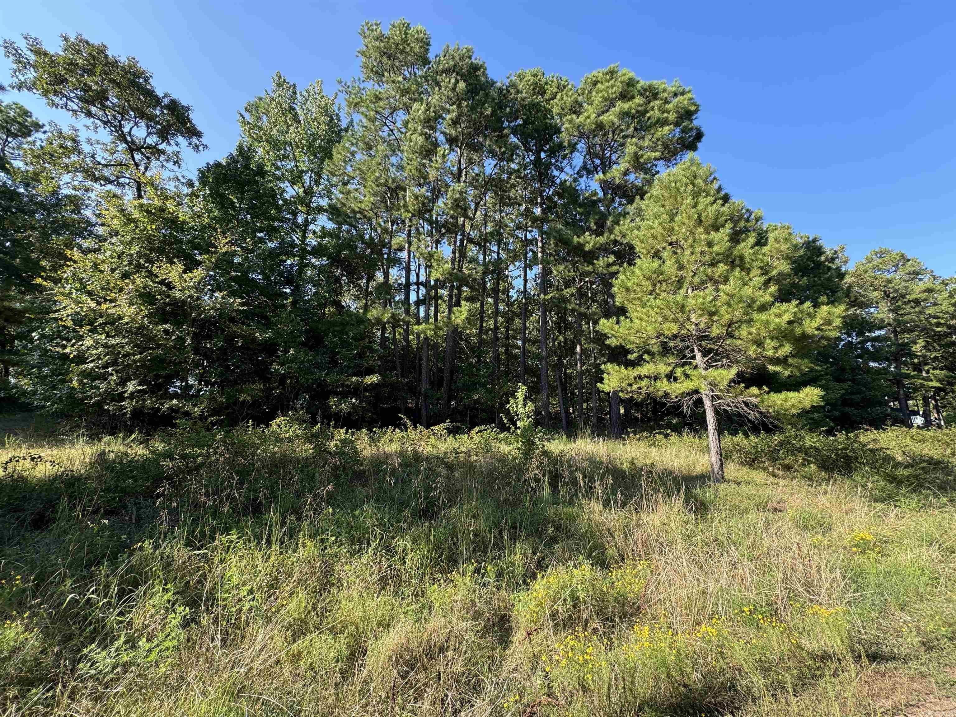 Lot 18  Primrose Creek  Heber Springs, AR