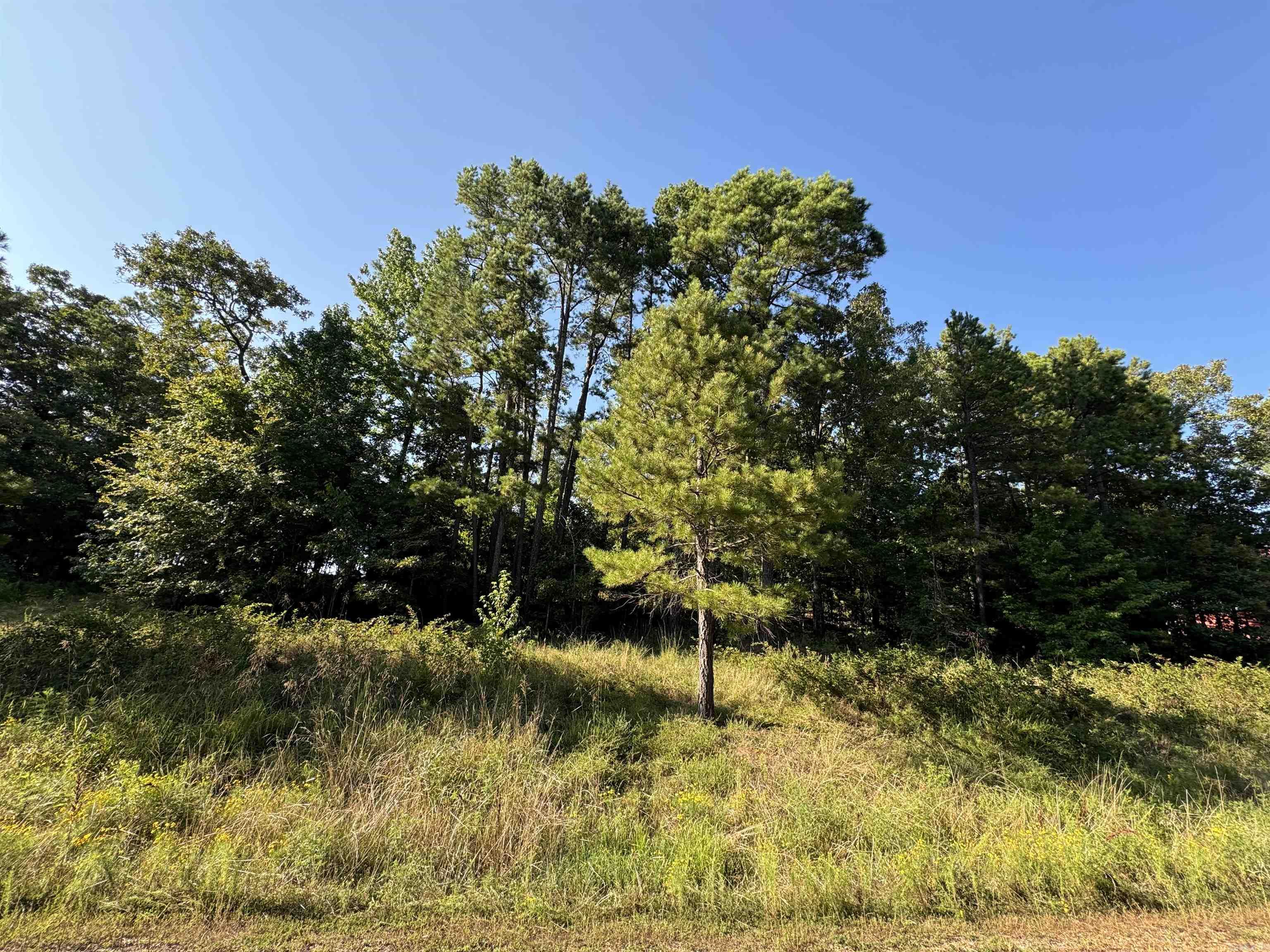 Lot 18  Primrose Creek  Heber Springs, AR