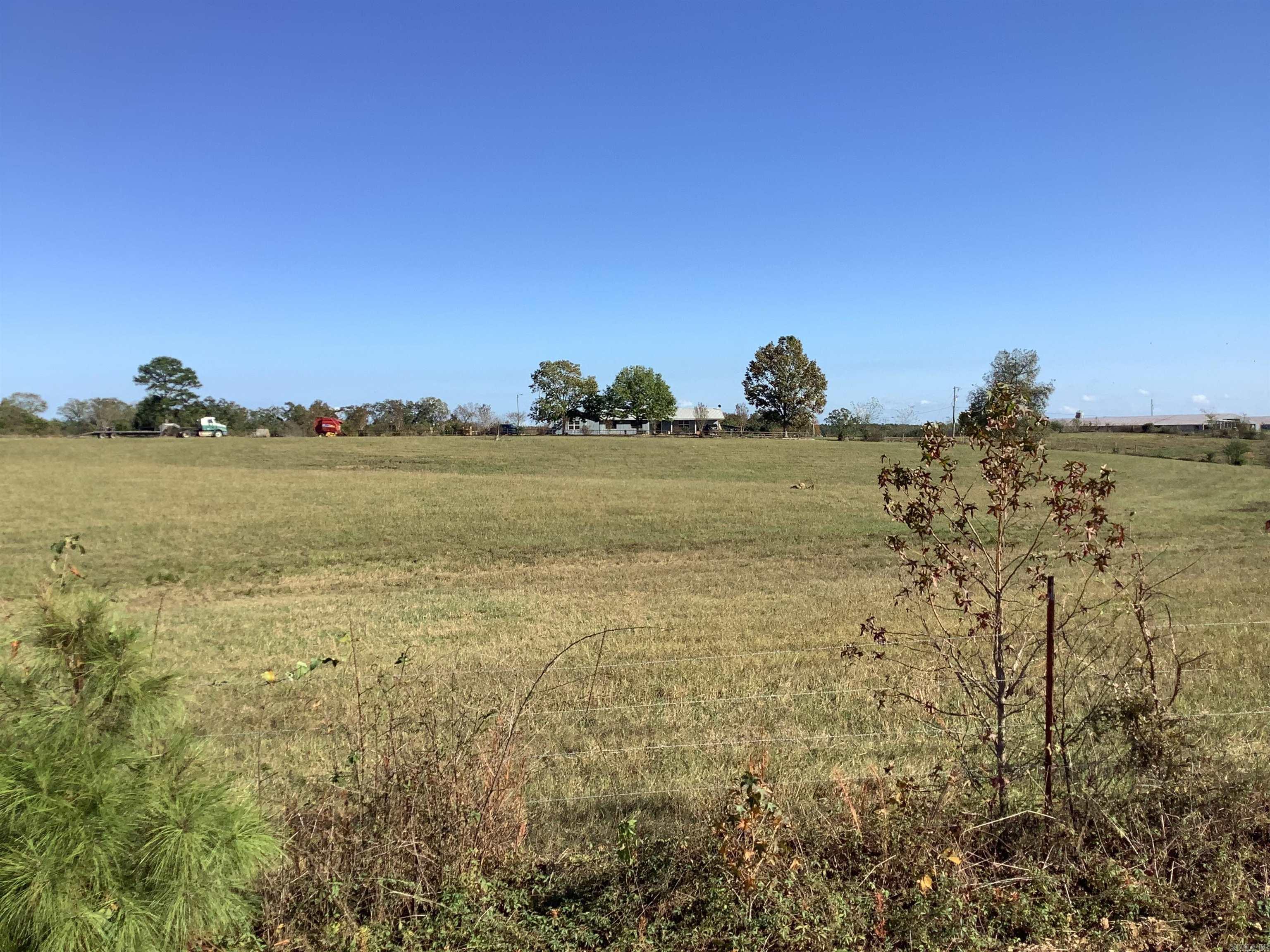 552  Strawberry Tract 1 Delight, AR