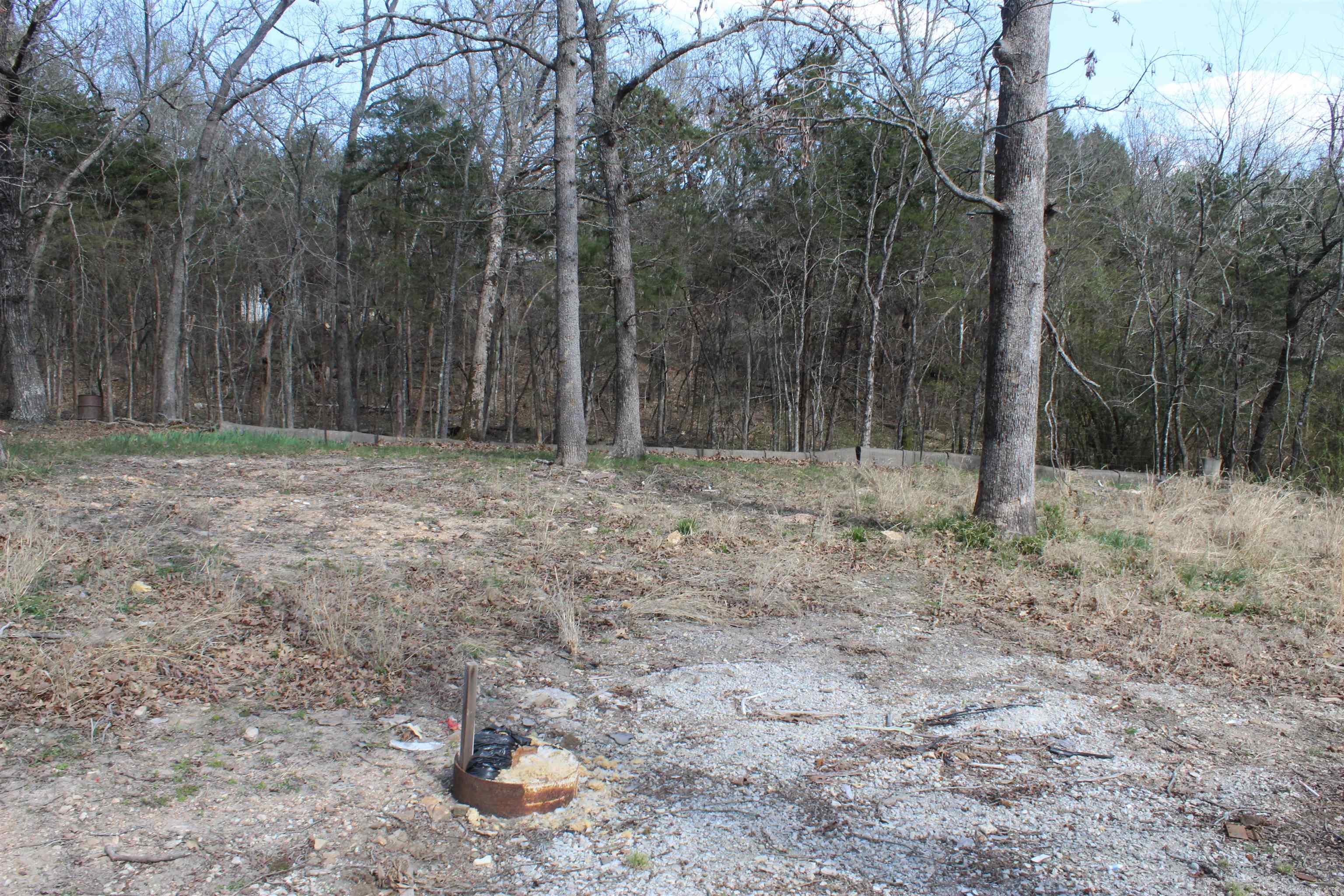 137  Lilly Lane  Peel, AR