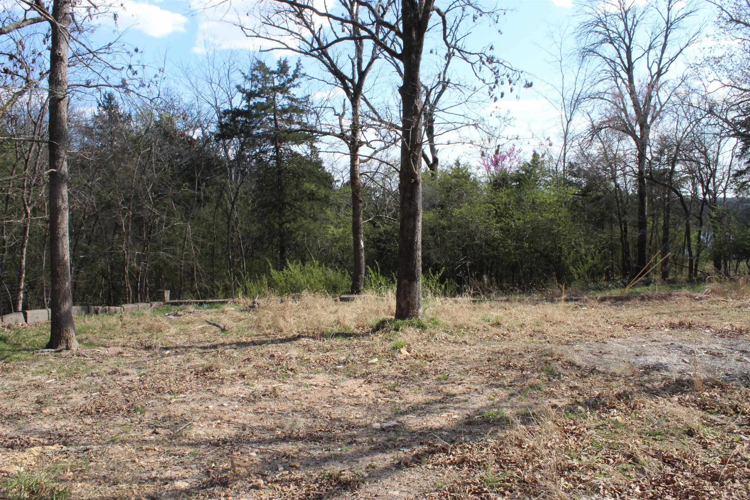 137  Lilly Lane  Peel, AR