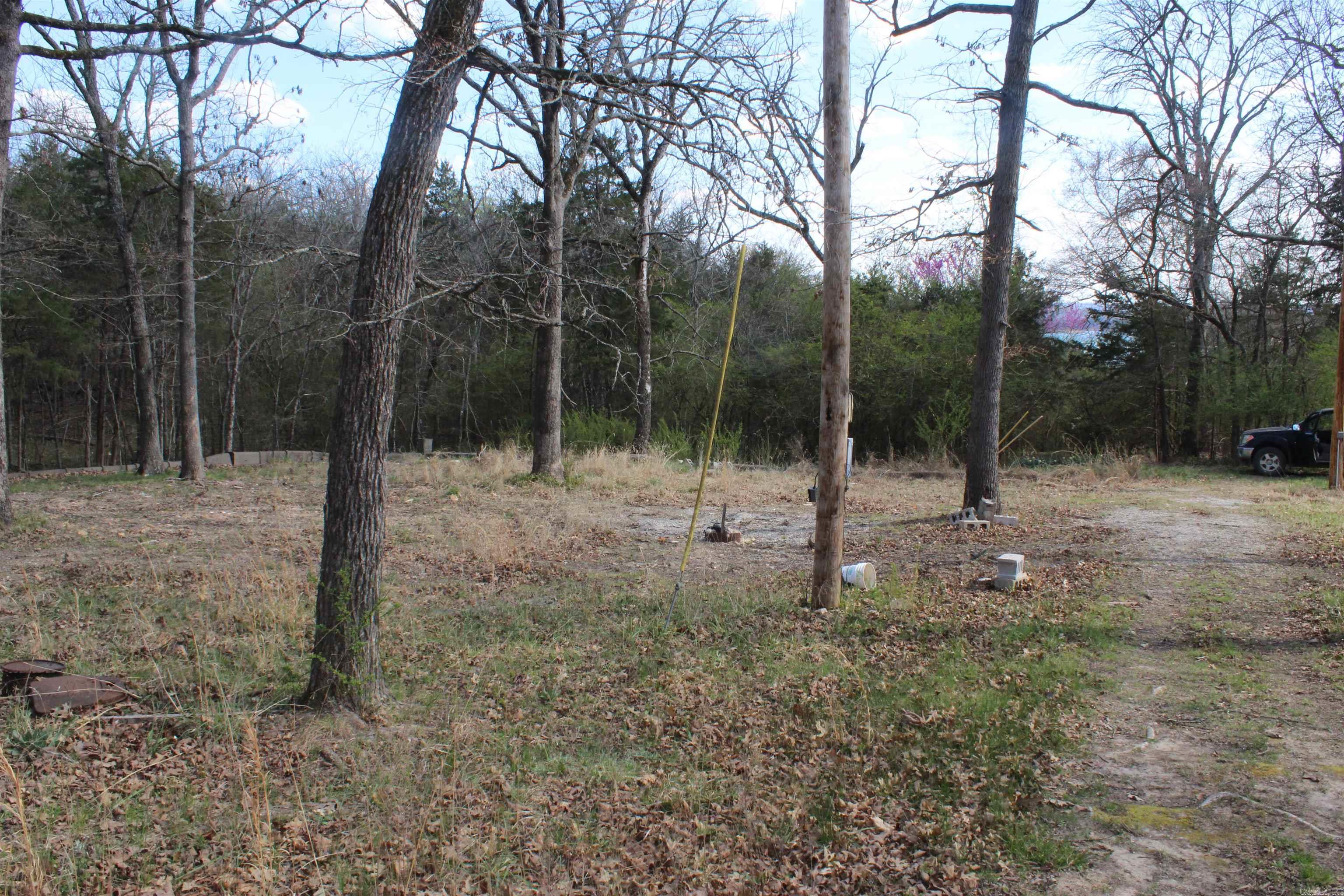 137  Lilly Lane  Peel, AR