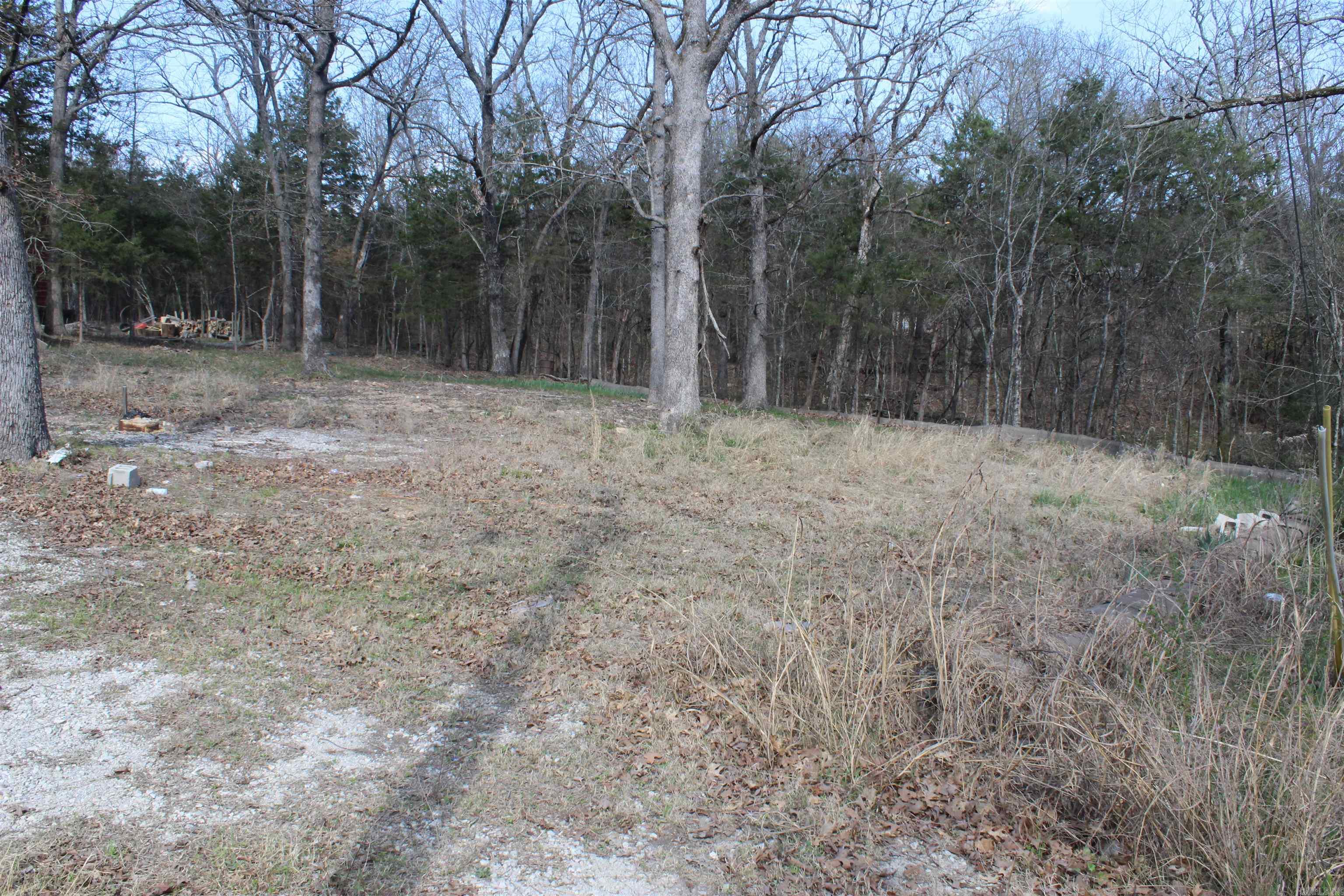 137  Lilly Lane  Peel, AR