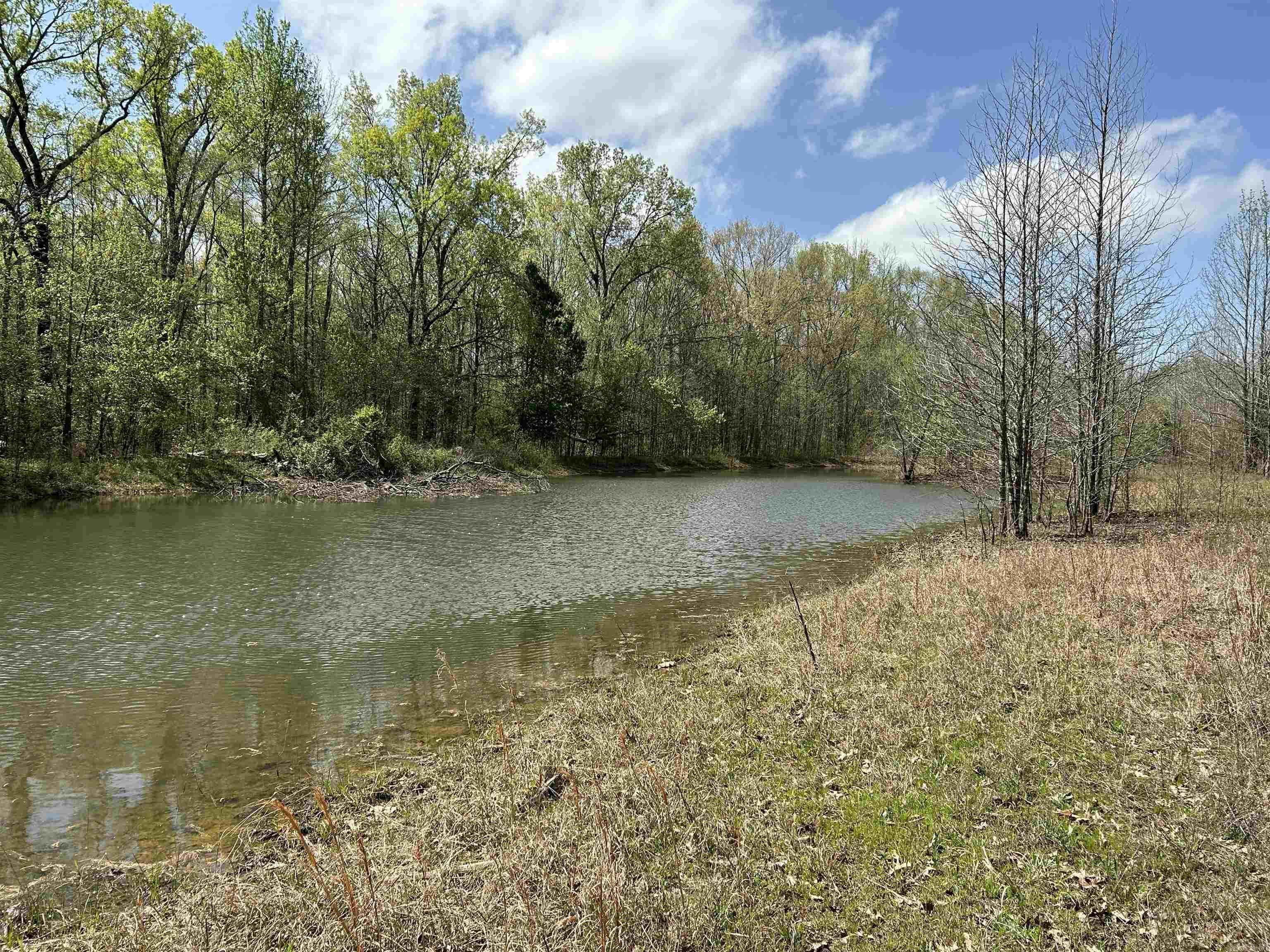 53  Center Point Loop  Vilonia, AR