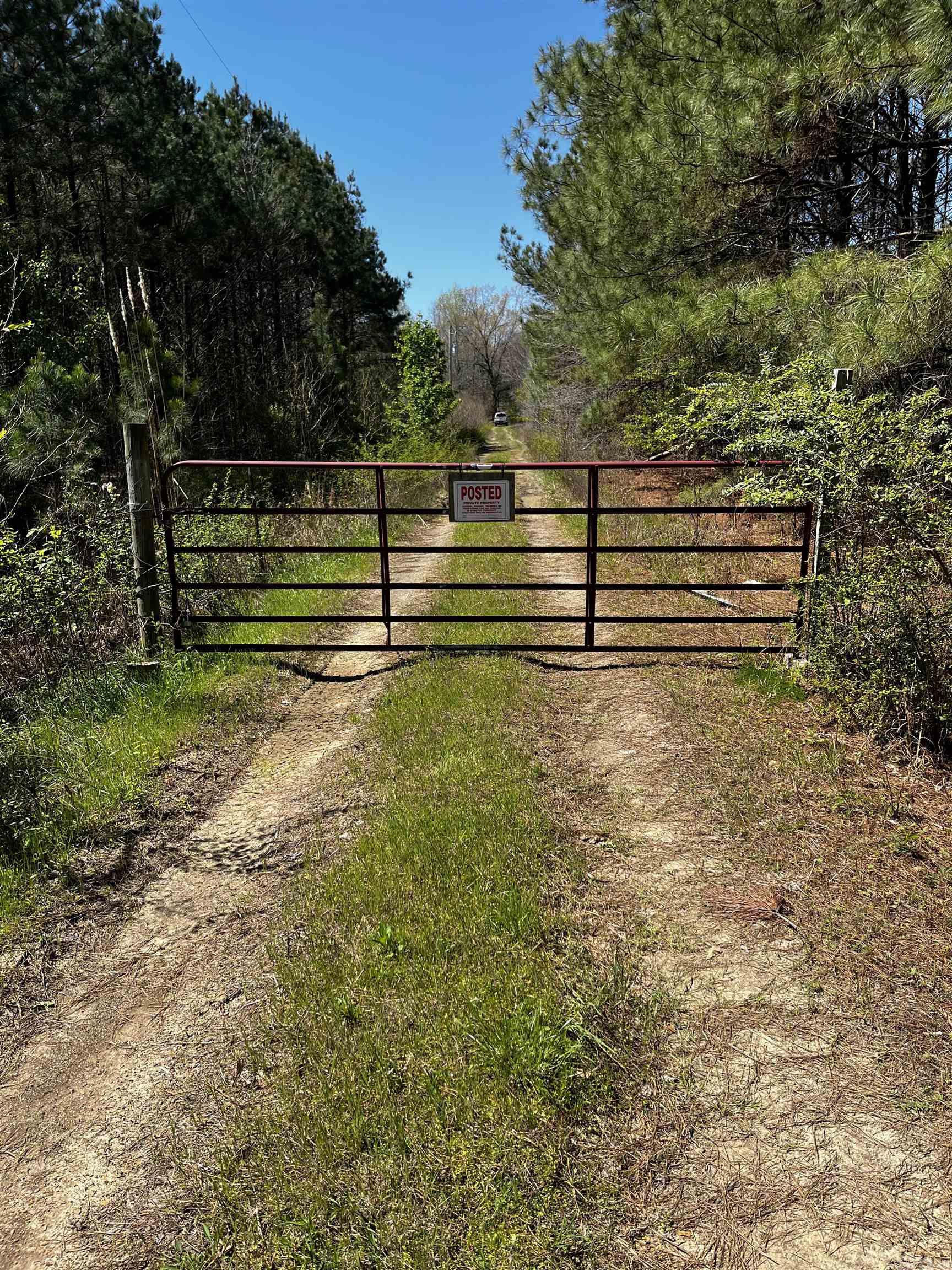 53  Center Point Loop  Vilonia, AR