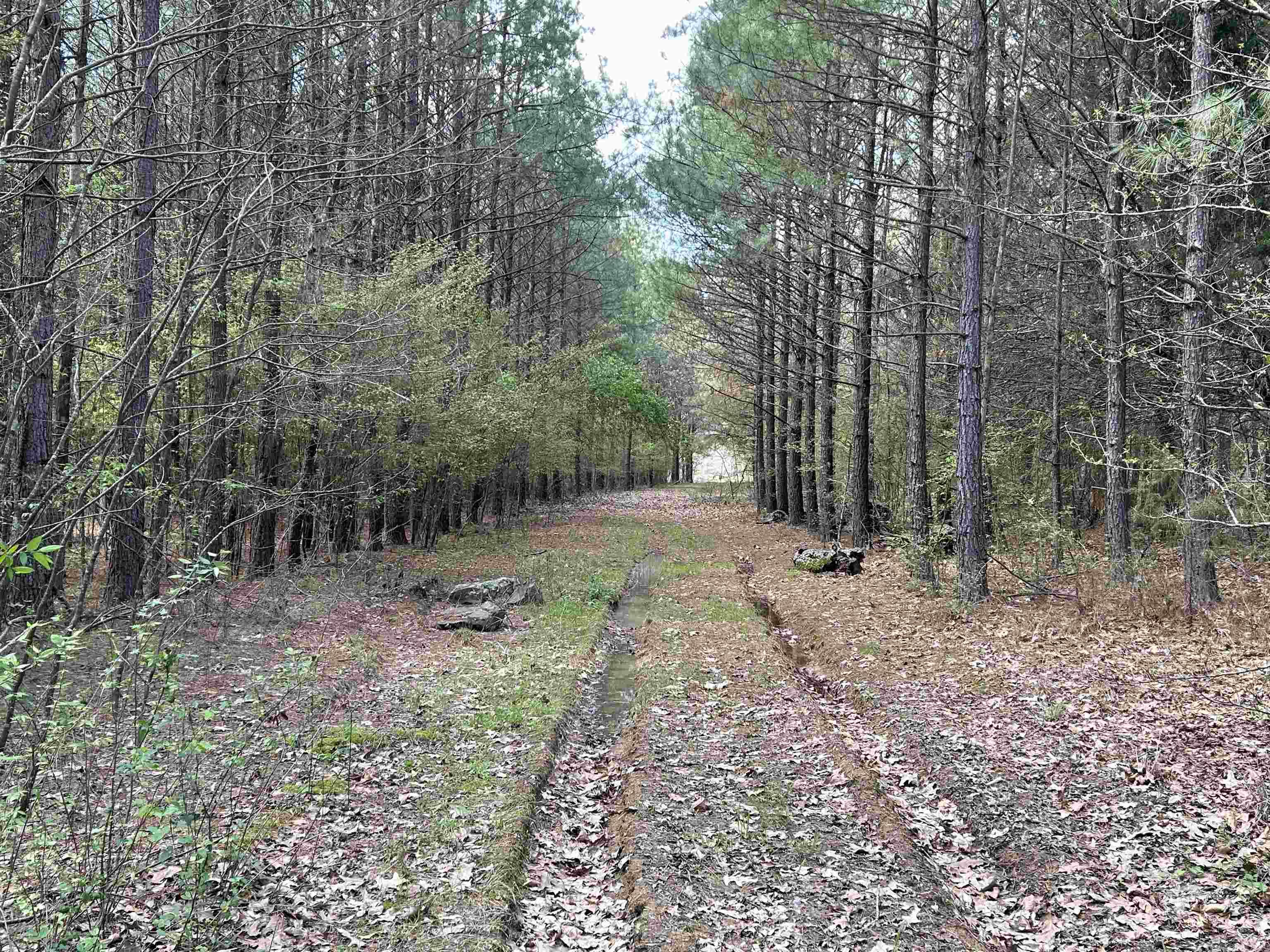 53  Center Point Loop  Vilonia, AR