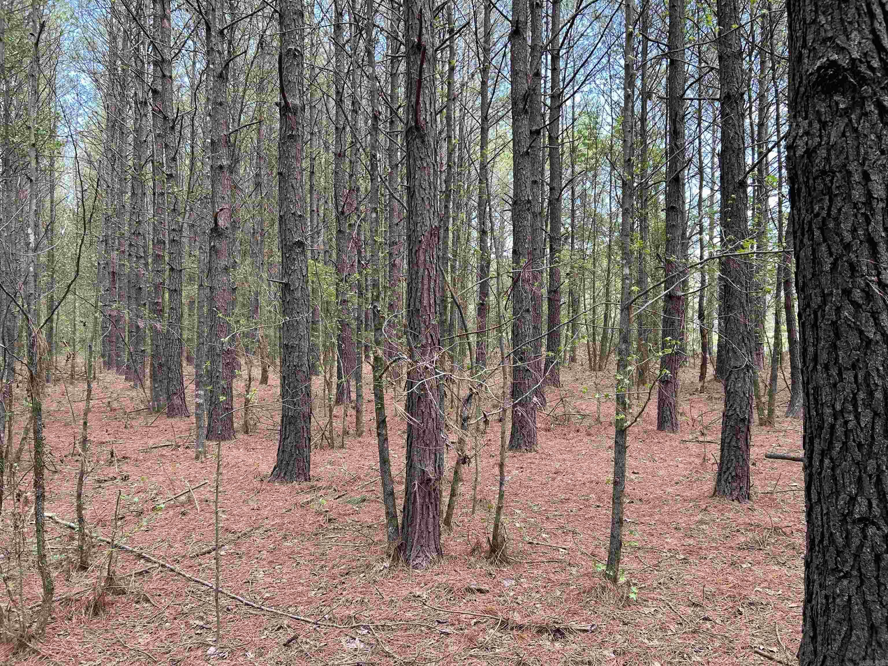 53  Center Point Loop  Vilonia, AR