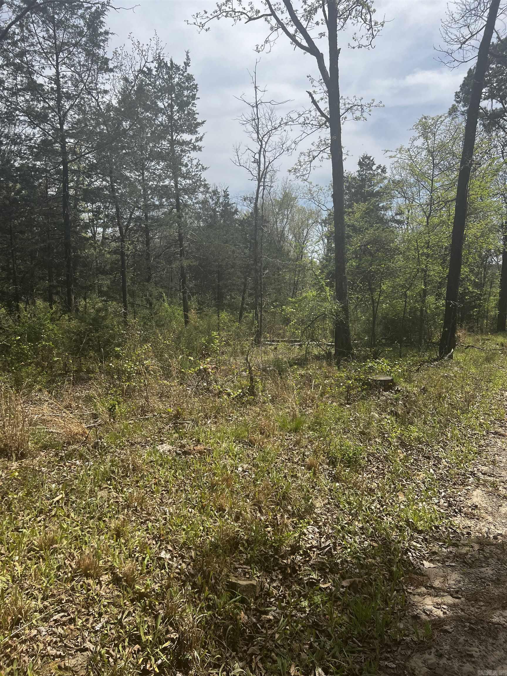 3681  County  Hagarville, AR