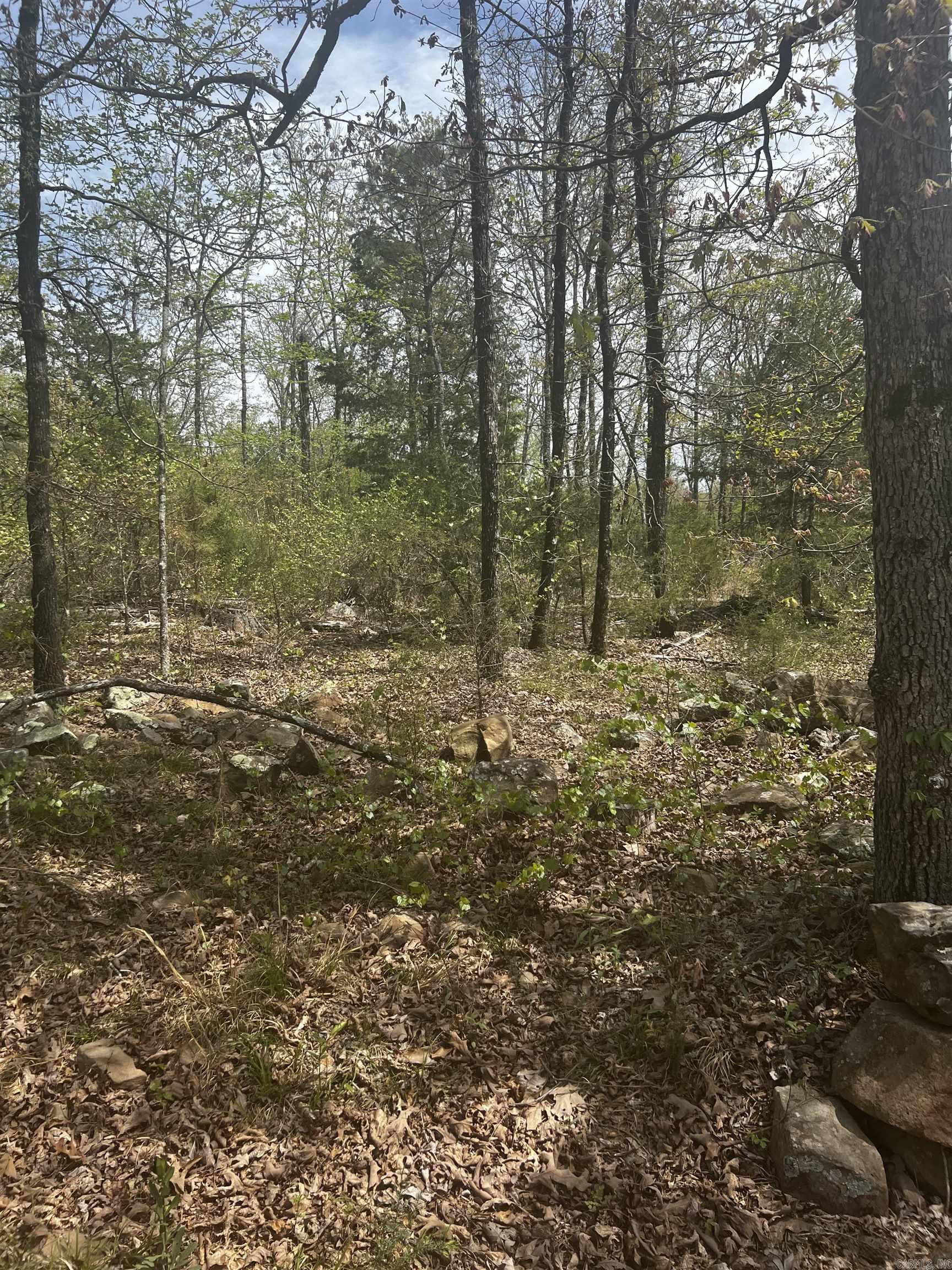 3681  County  Hagarville, AR