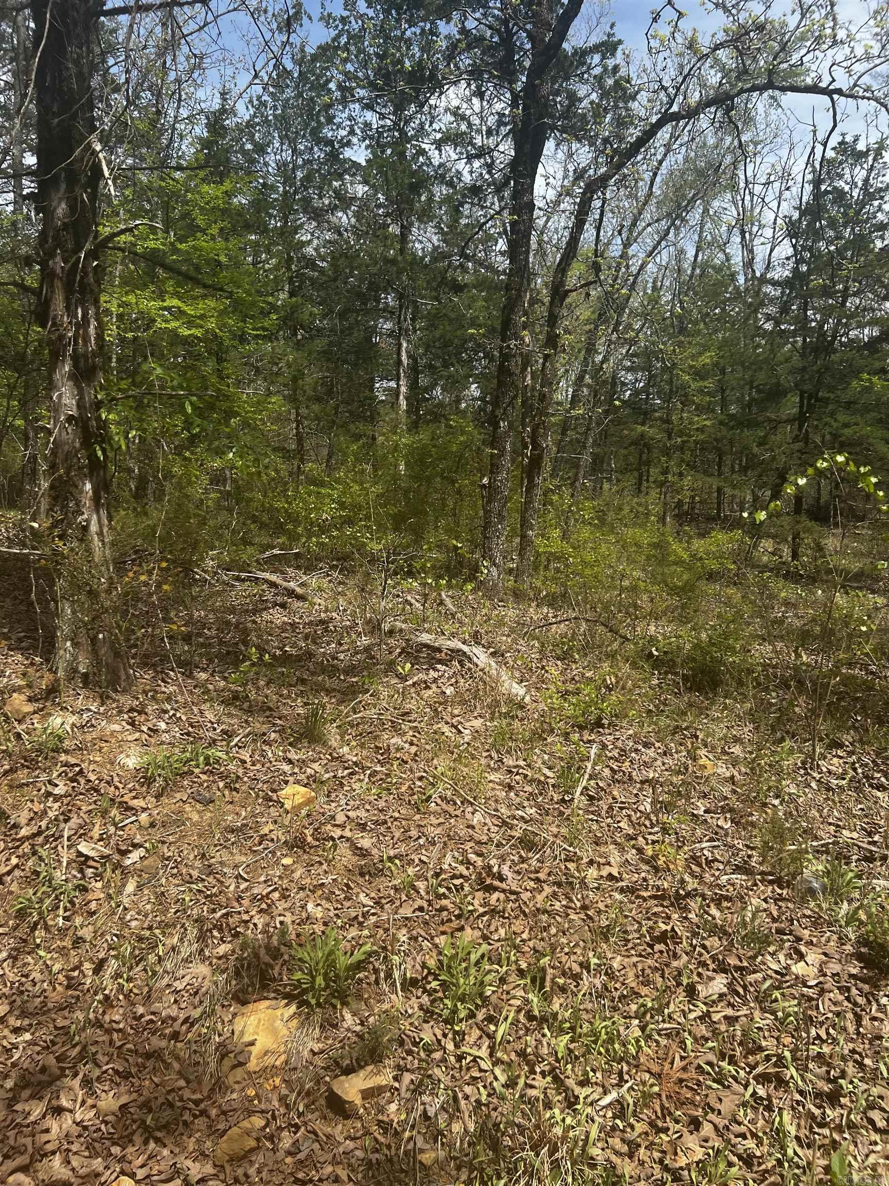 3681  County  Hagarville, AR