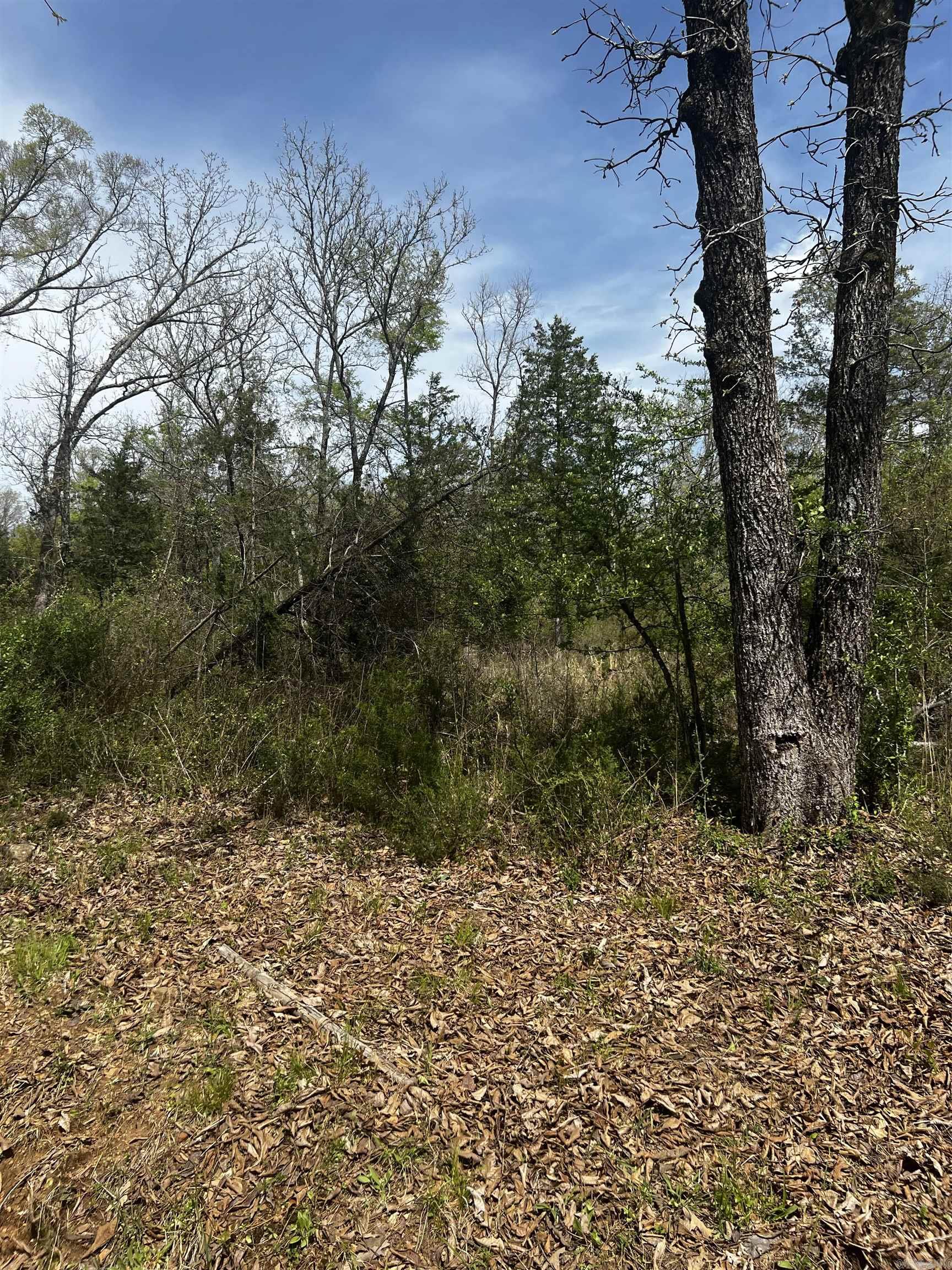 3681  County  Hagarville, AR
