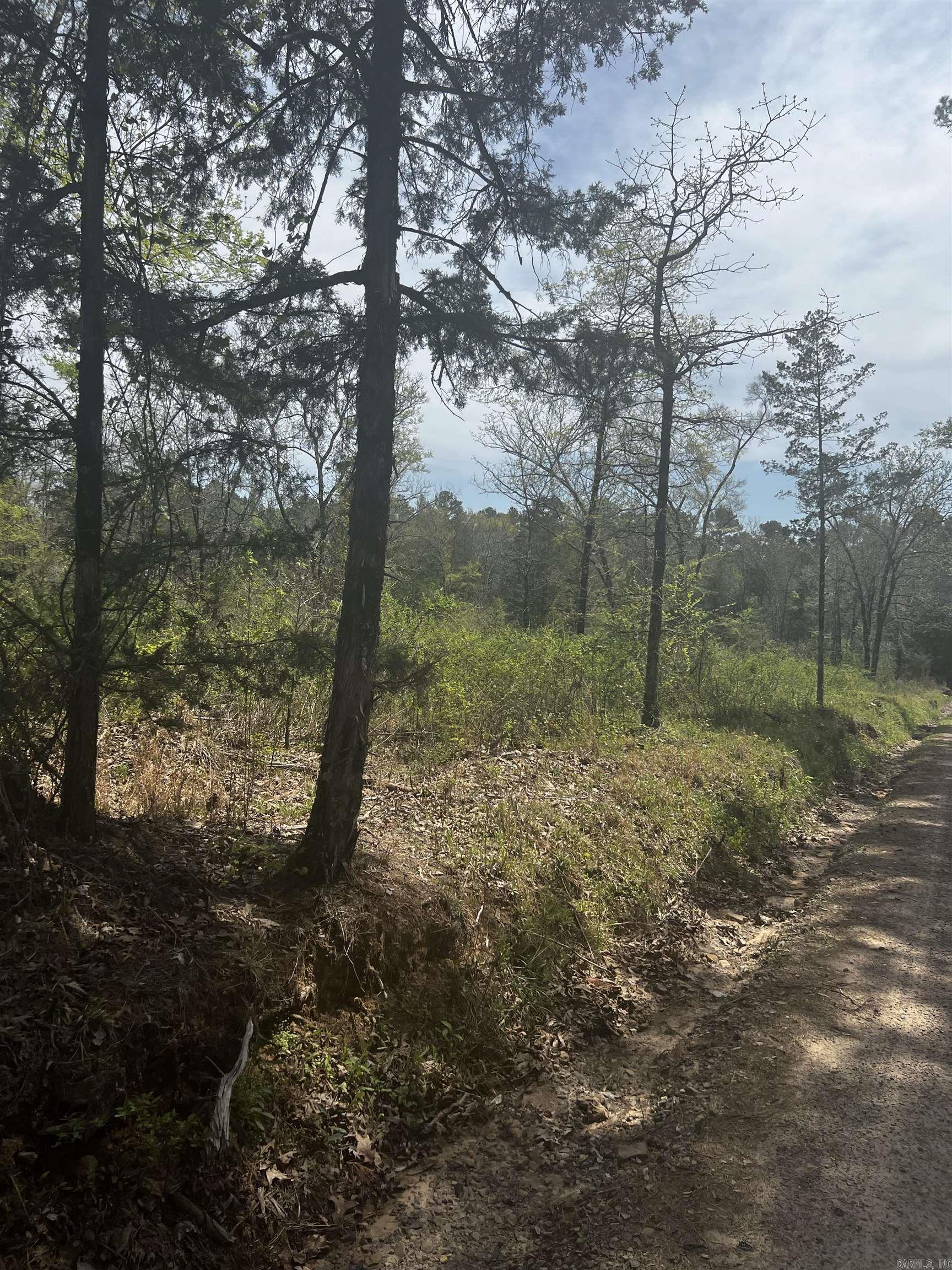 3681  County  Hagarville, AR