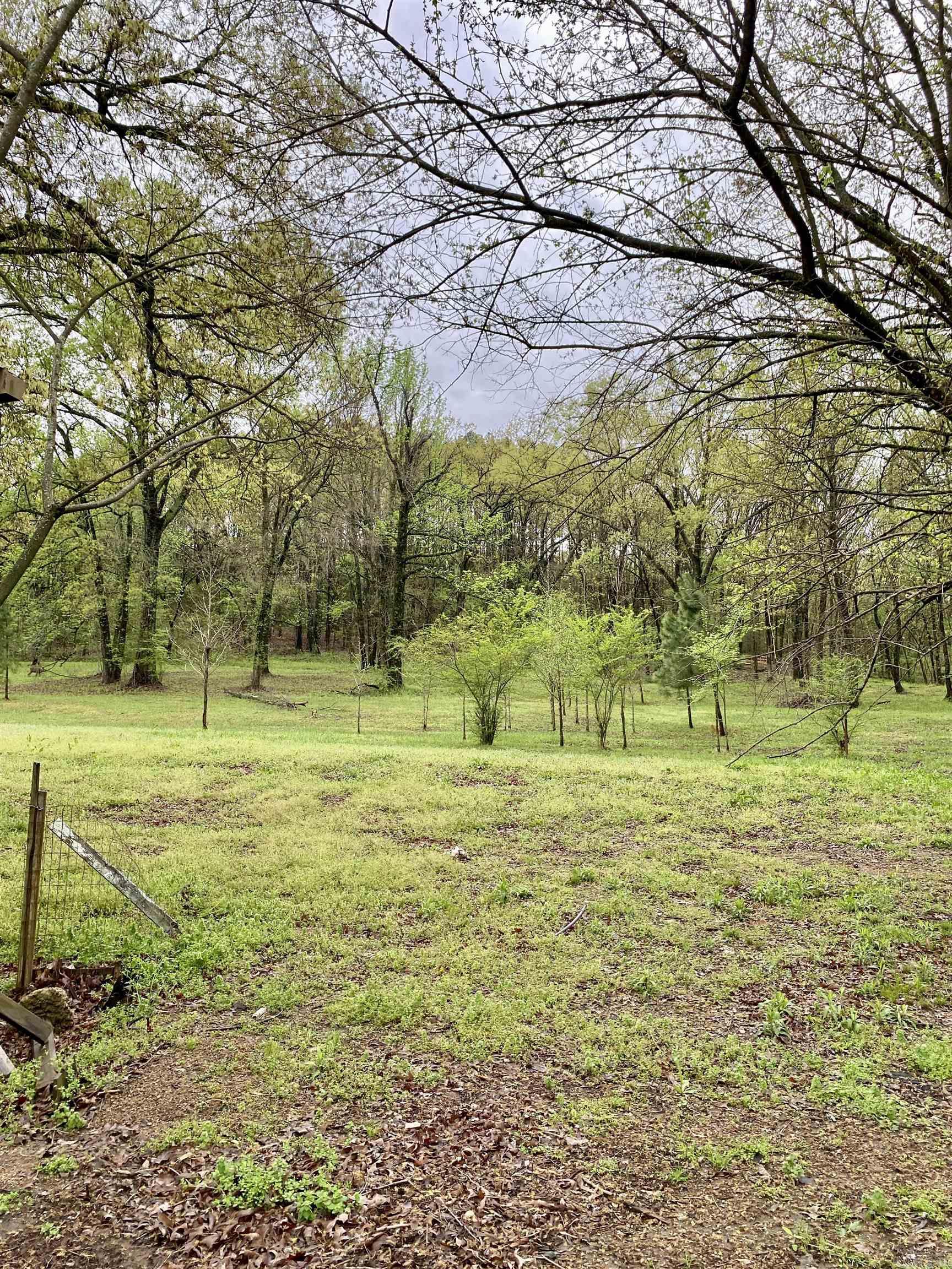 1582  County Road 2305  Hartman, AR