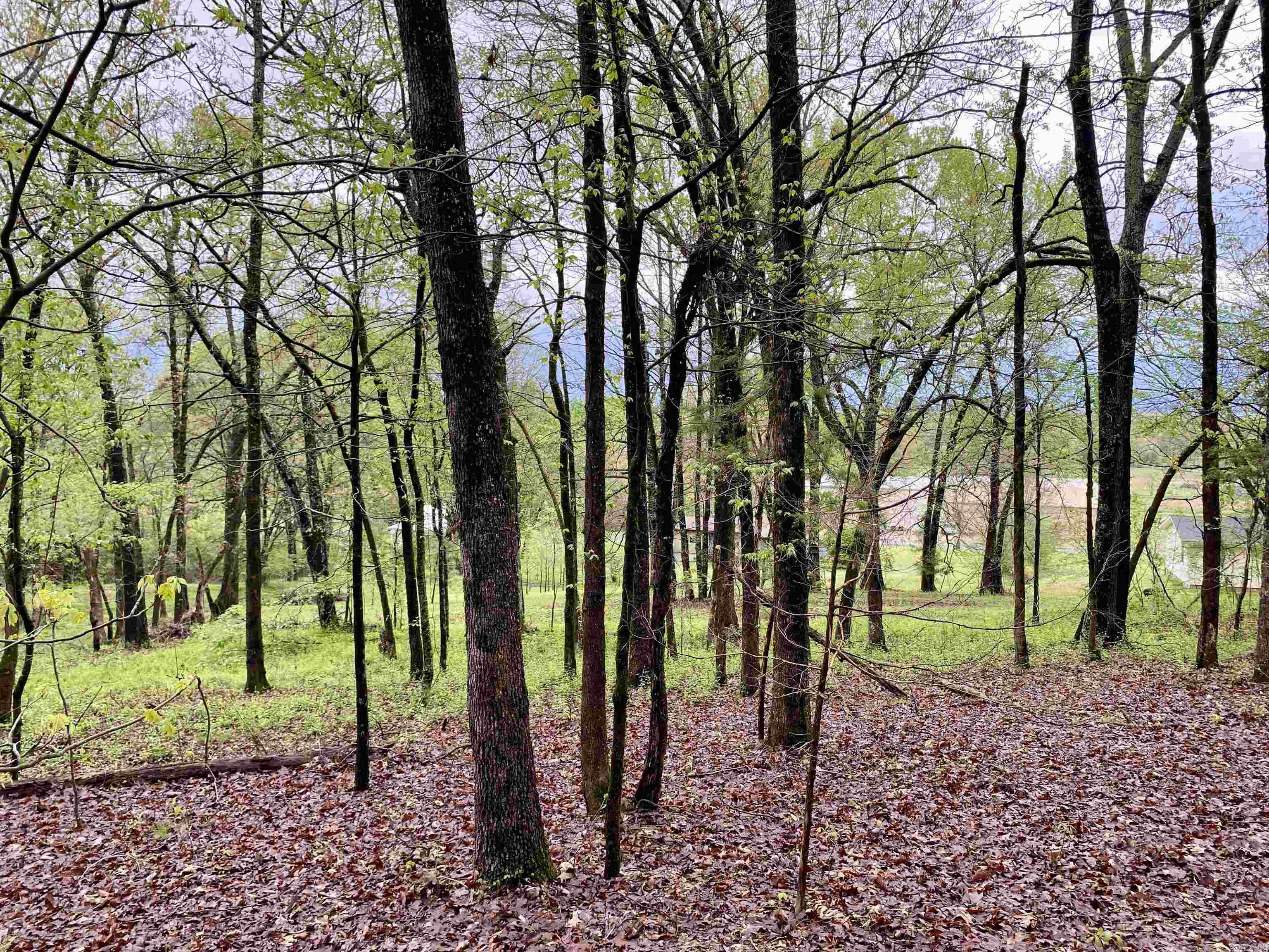 1582  County Road 2305  Hartman, AR