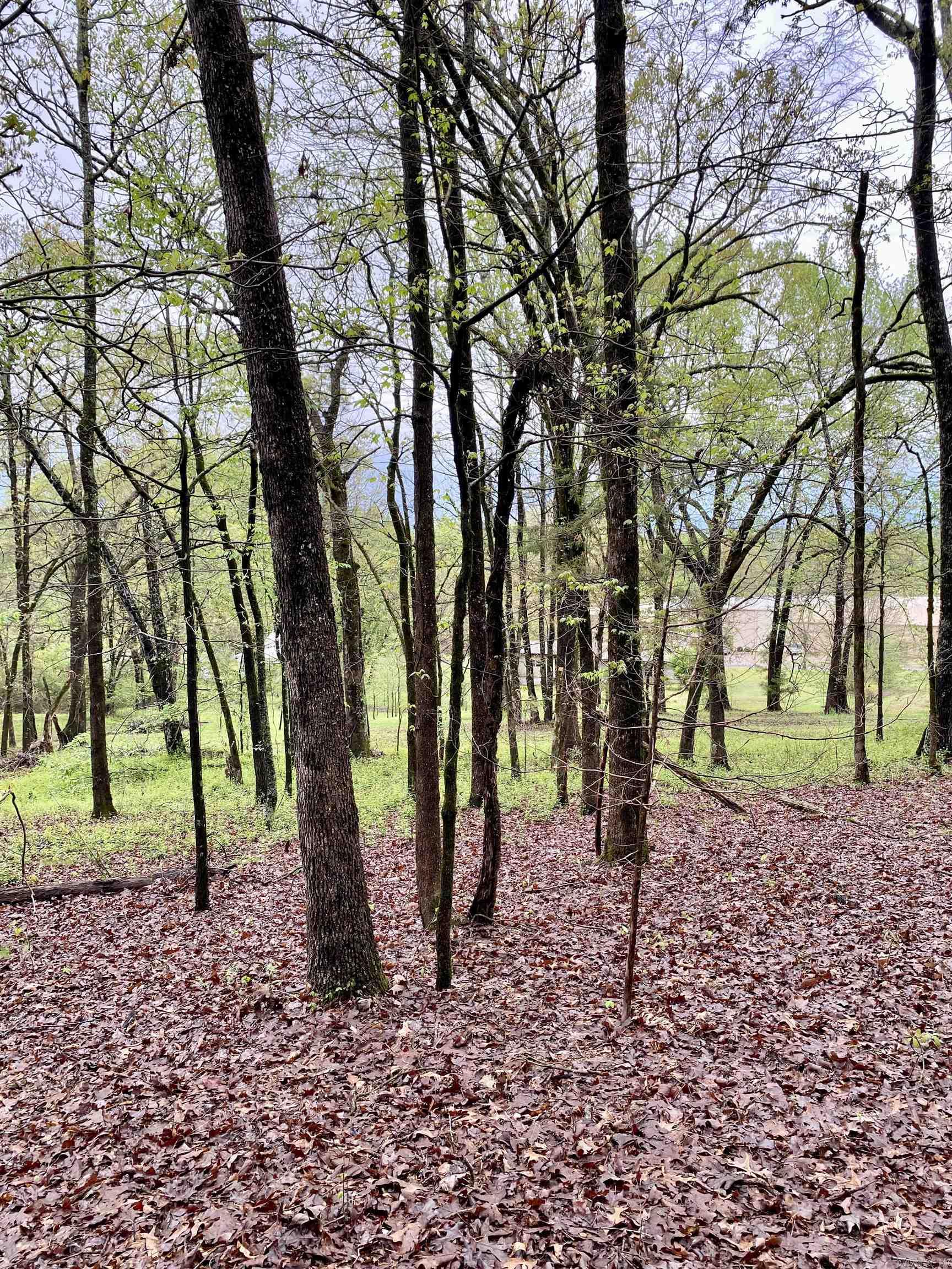 1582  County Road 2305  Hartman, AR