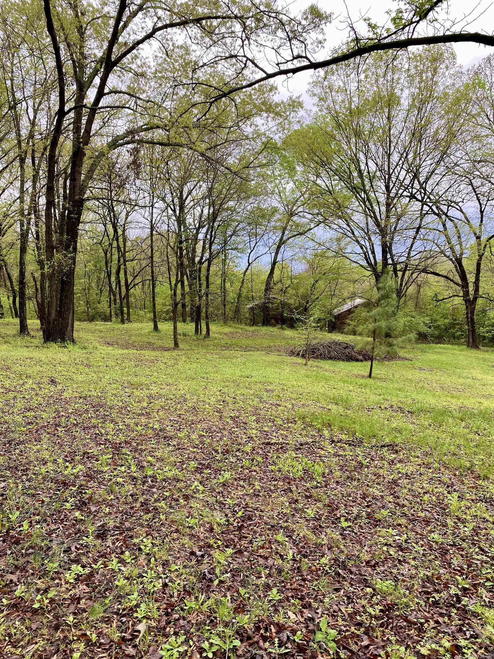 1582  County Road 2305  Hartman, AR