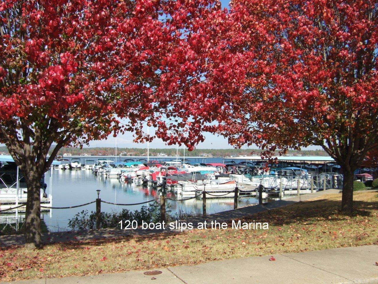 100  Cooper Circle  Hot Springs Village, AR