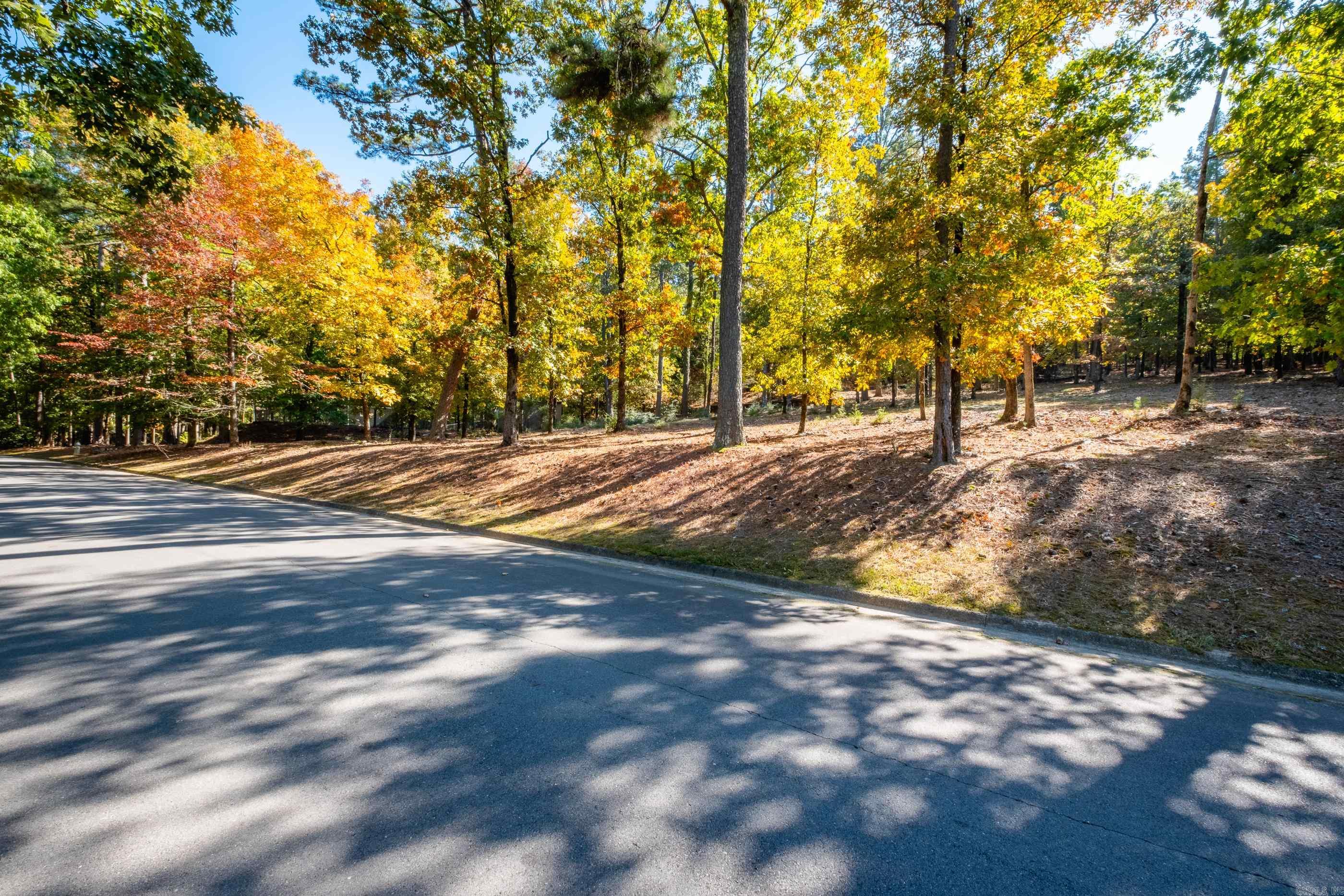 42  Hickory Hills Circle  Little Rock, AR