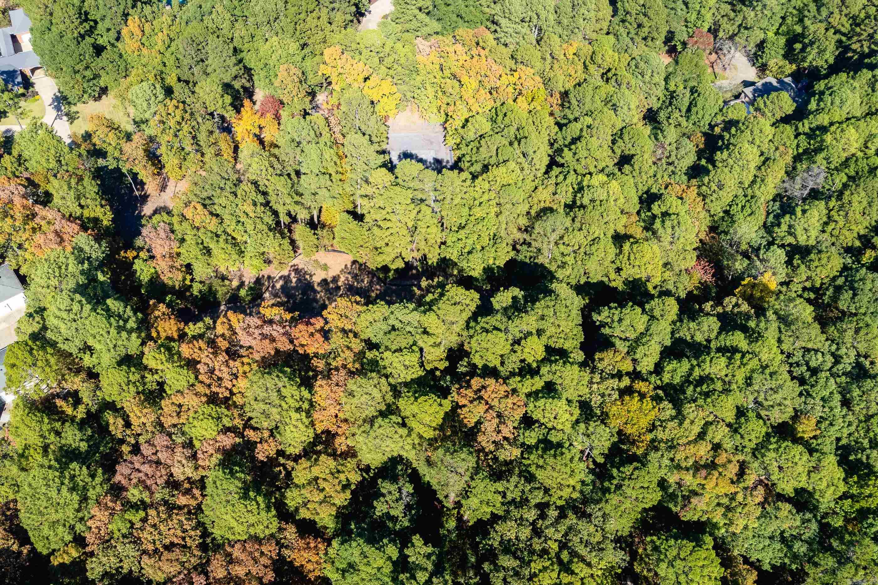 Lot 43  Hickory Hills Circle  Little Rock, AR