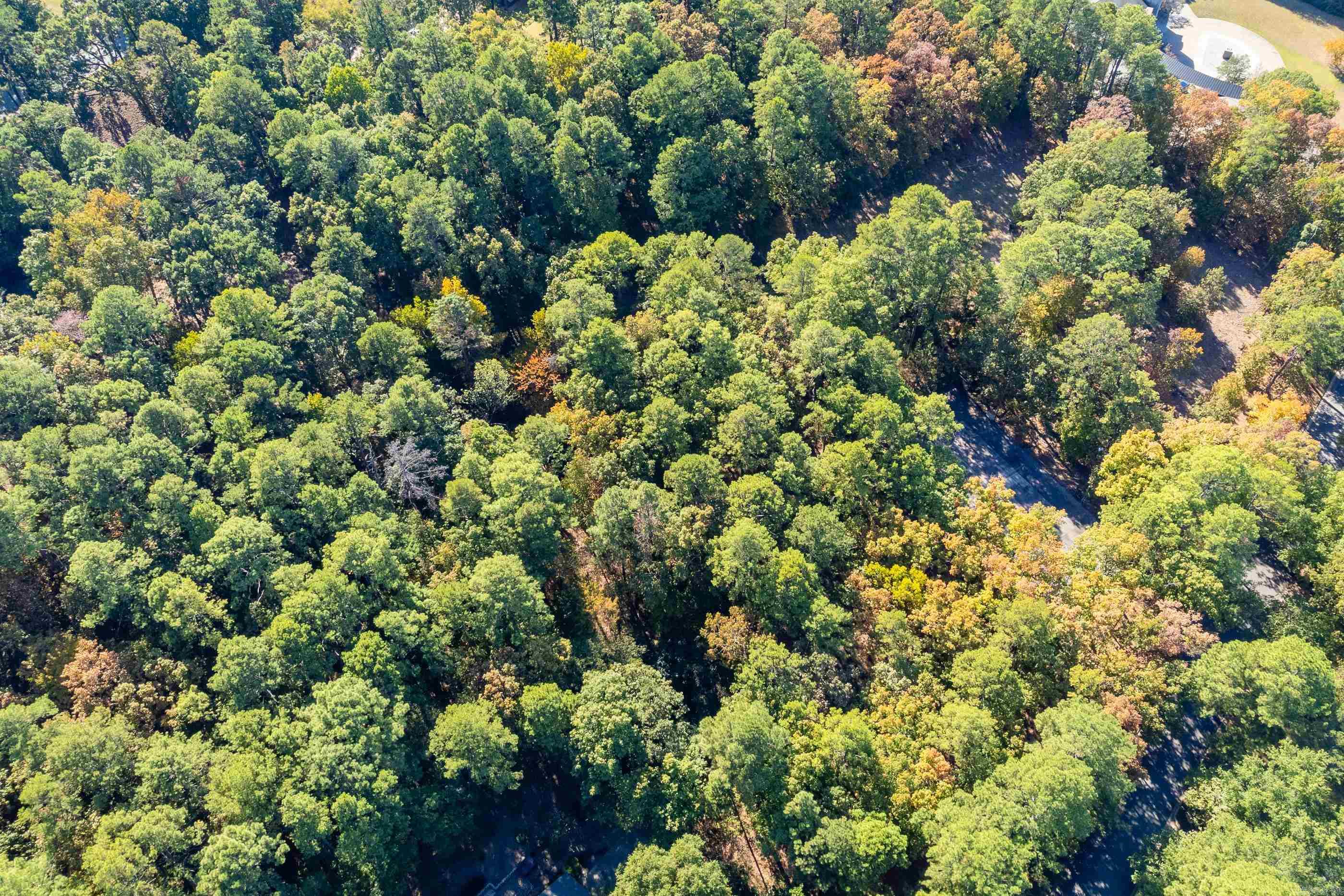 Lot 43  Hickory Hills Circle  Little Rock, AR