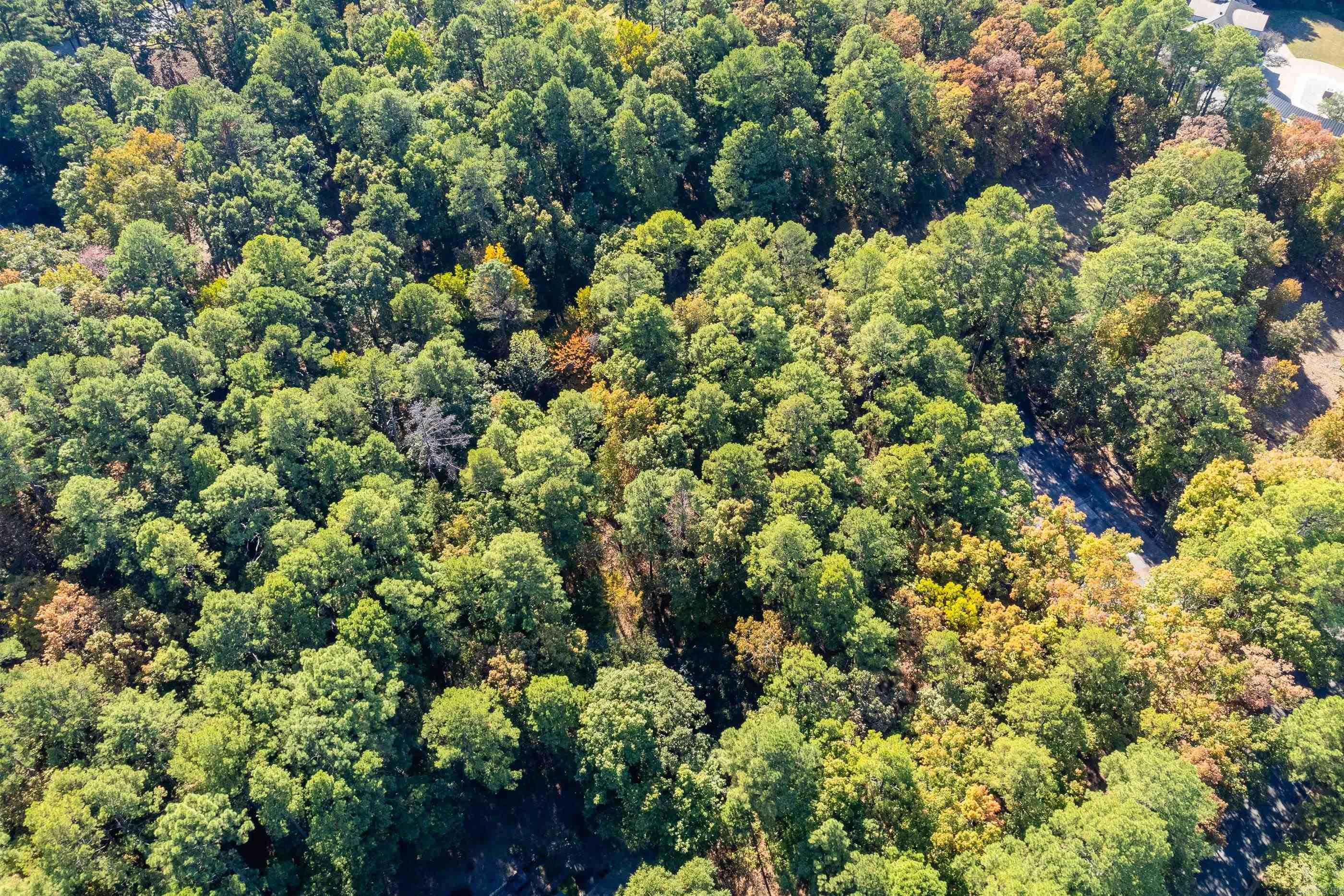 Lot 43  Hickory Hills Circle  Little Rock, AR