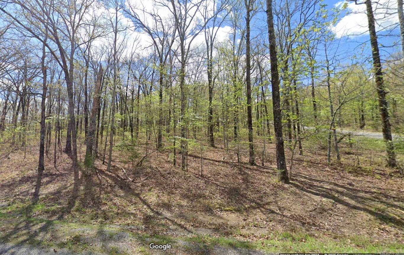 lot 29  pleasant oaks  El Paso, AR