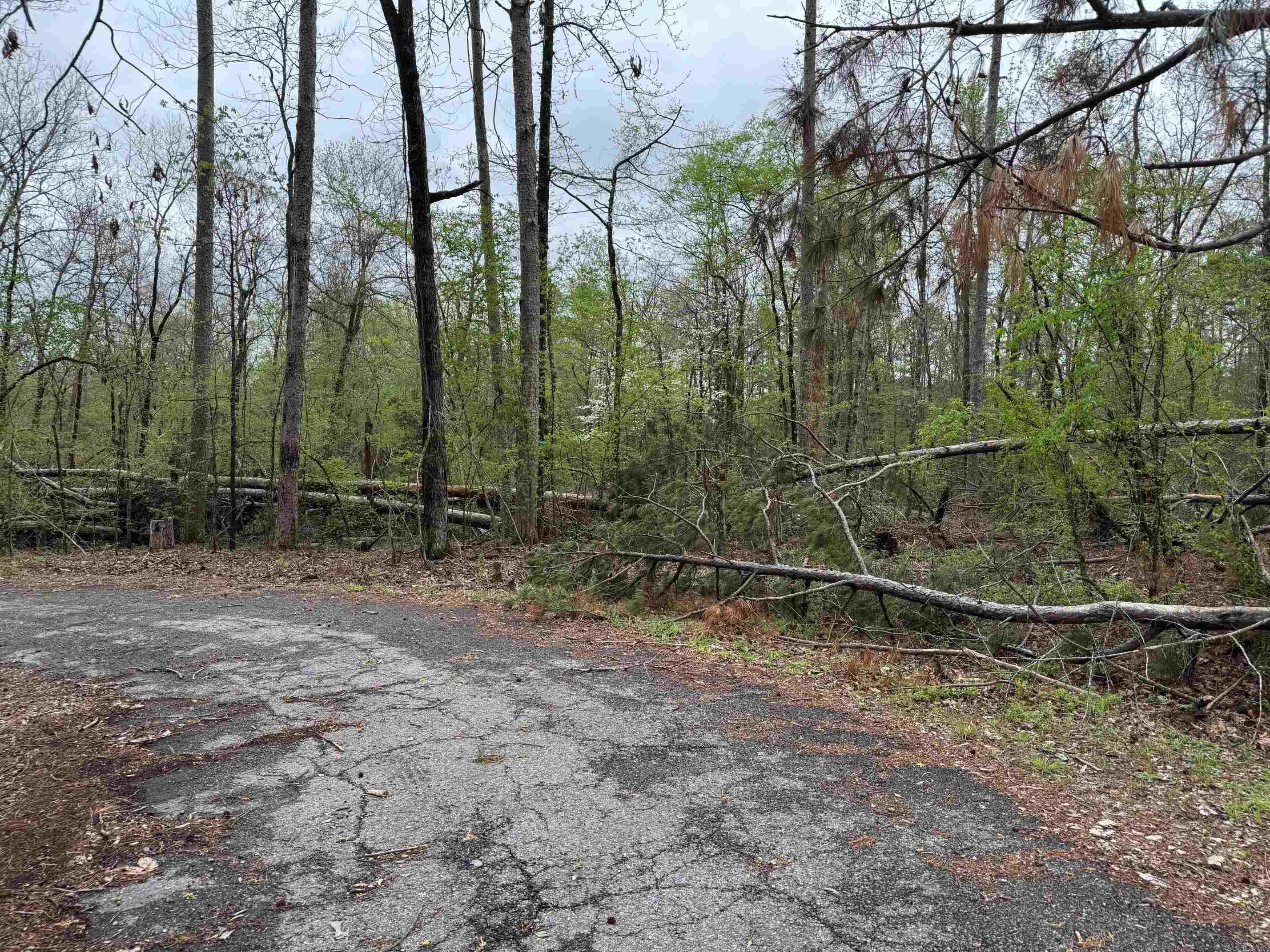4  PRIETA LANE  Hot Springs Village, AR