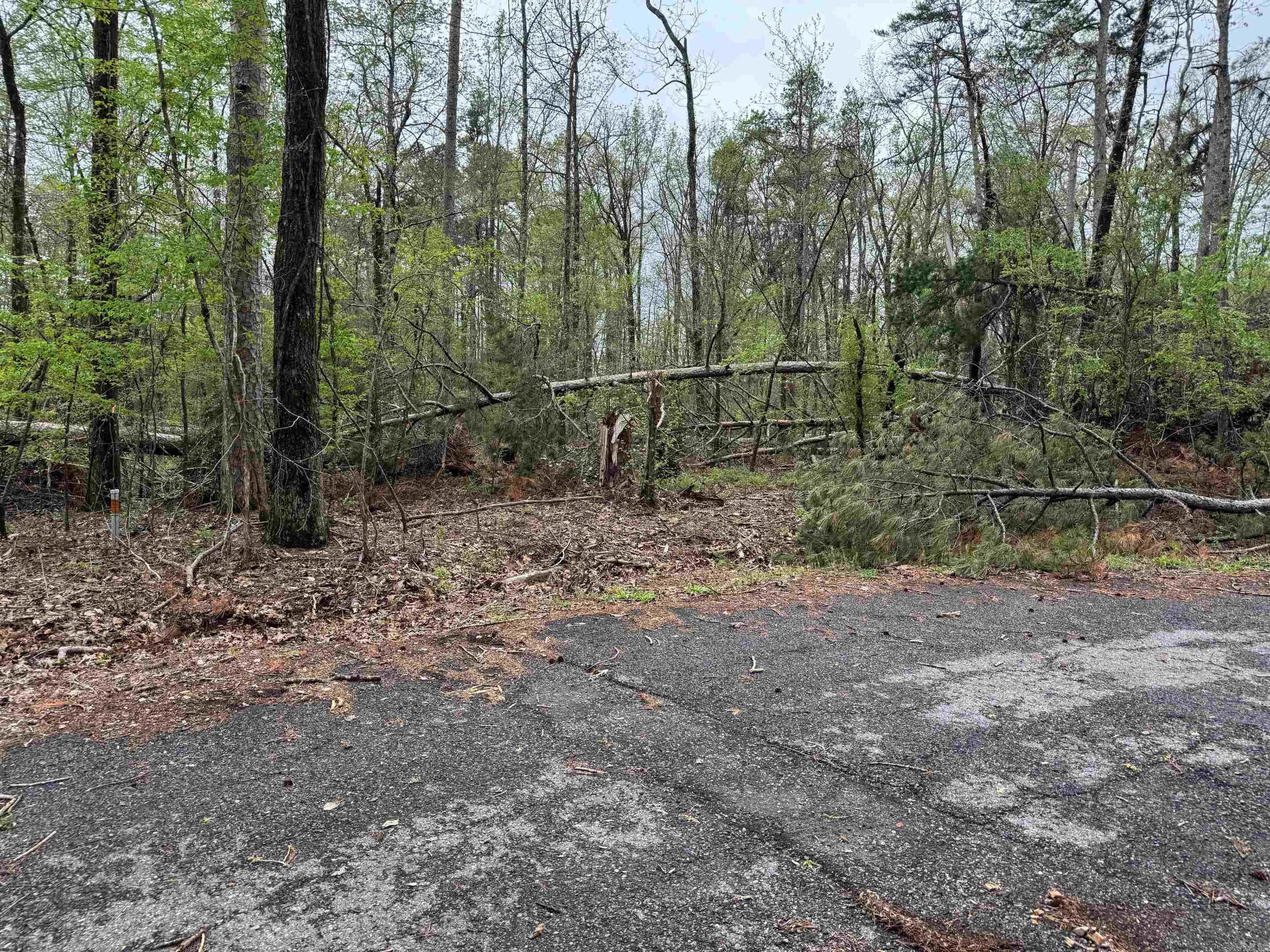 4  PRIETA LANE  Hot Springs Village, AR