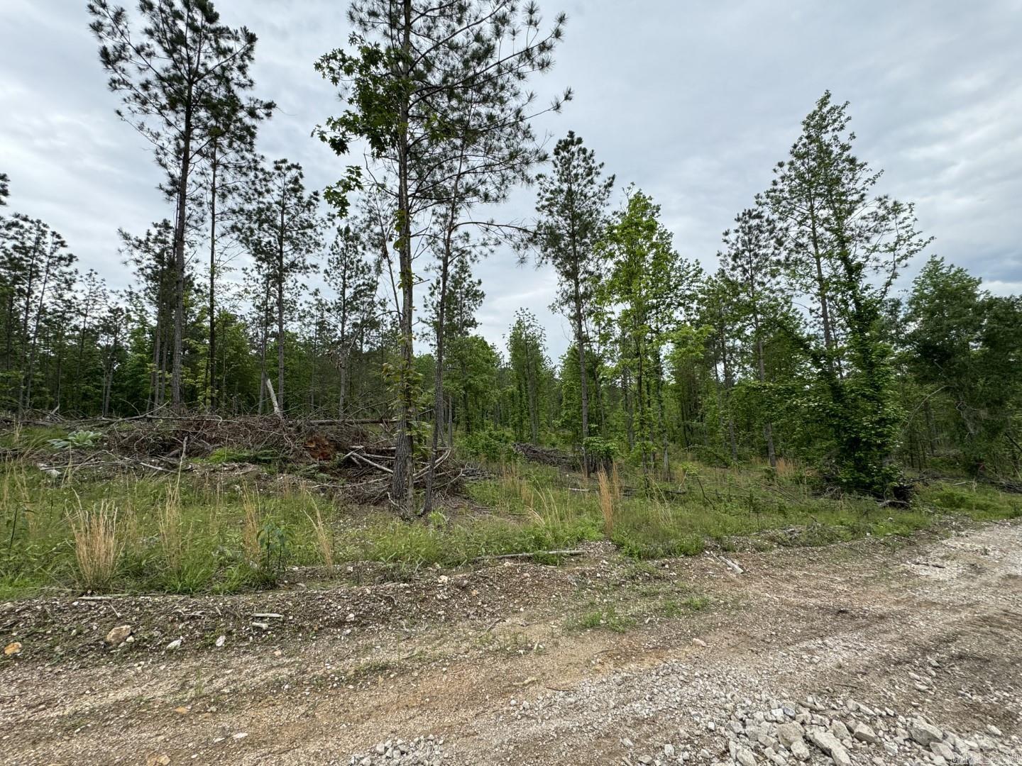 000  Seven Roses Lane  Lonsdale, AR