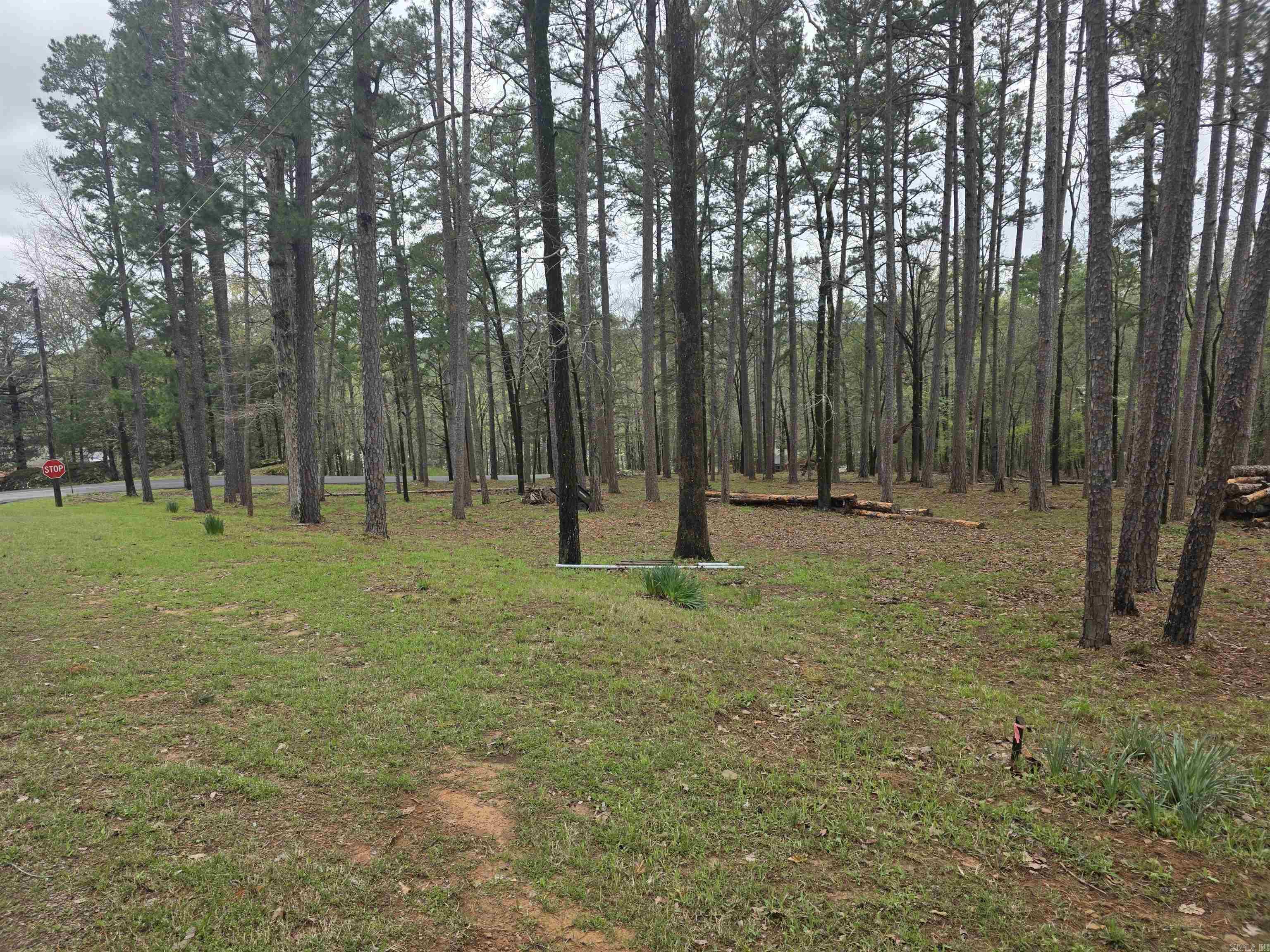 127 lot 54  View Drive  Shirley, AR