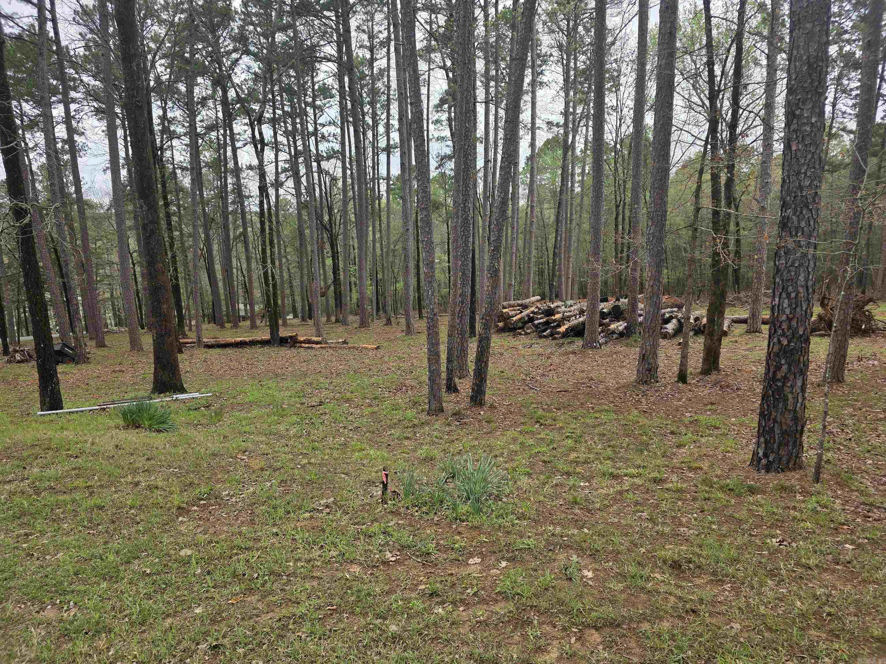 127 lot 54  View Drive  Shirley, AR