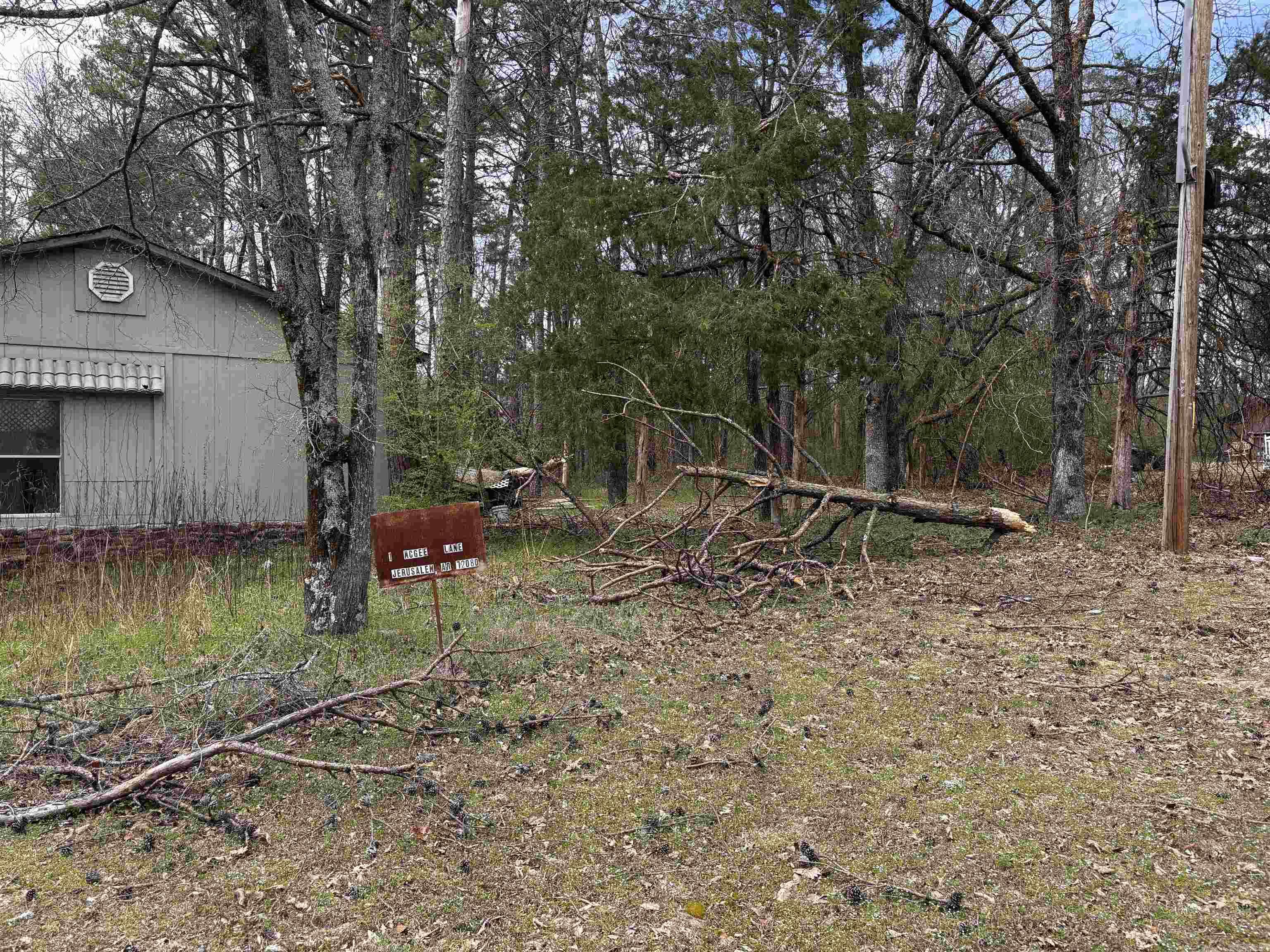 1 McGee  Jerusalem, AR
