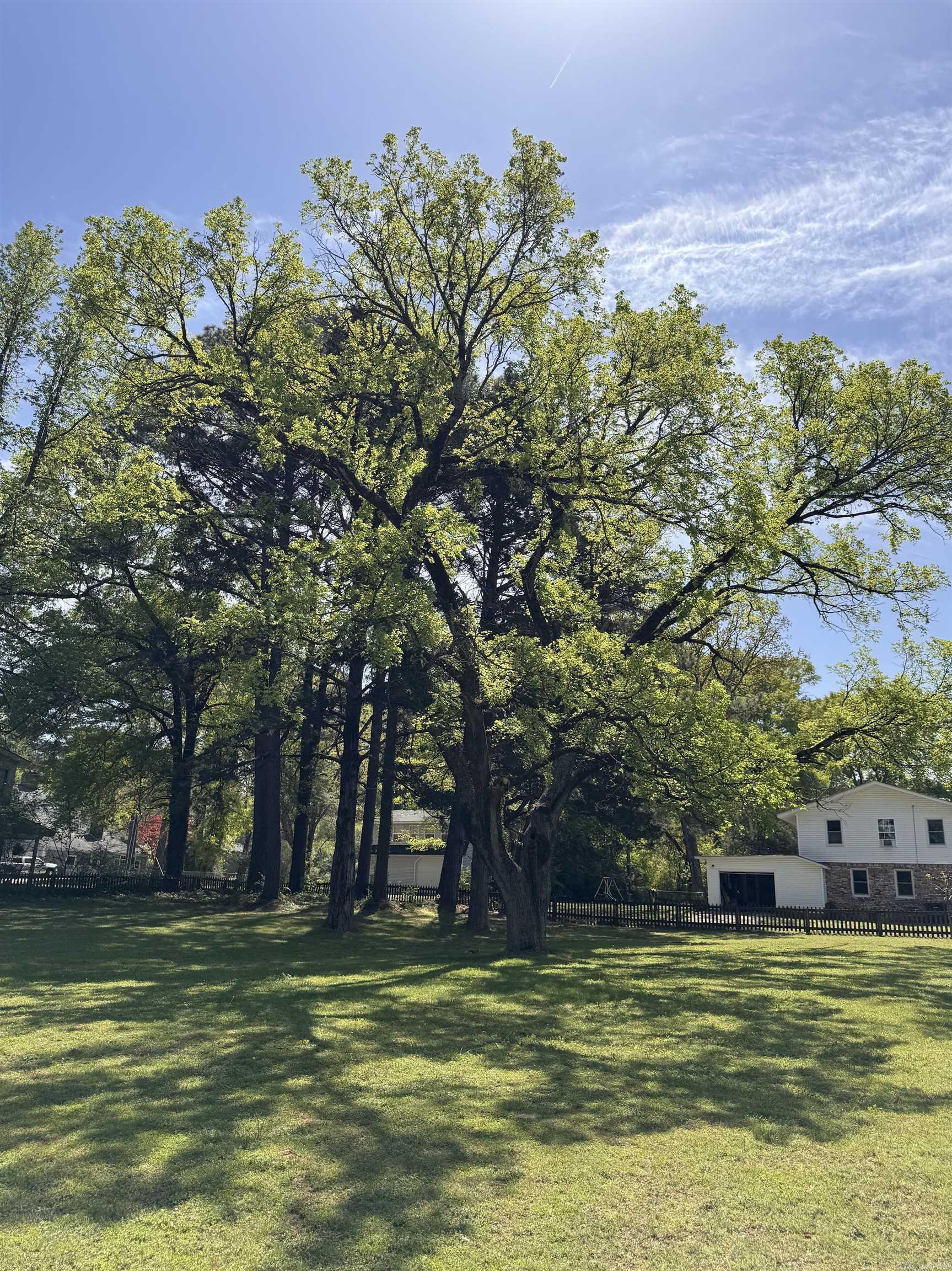 1004  Cedar  Searcy, AR