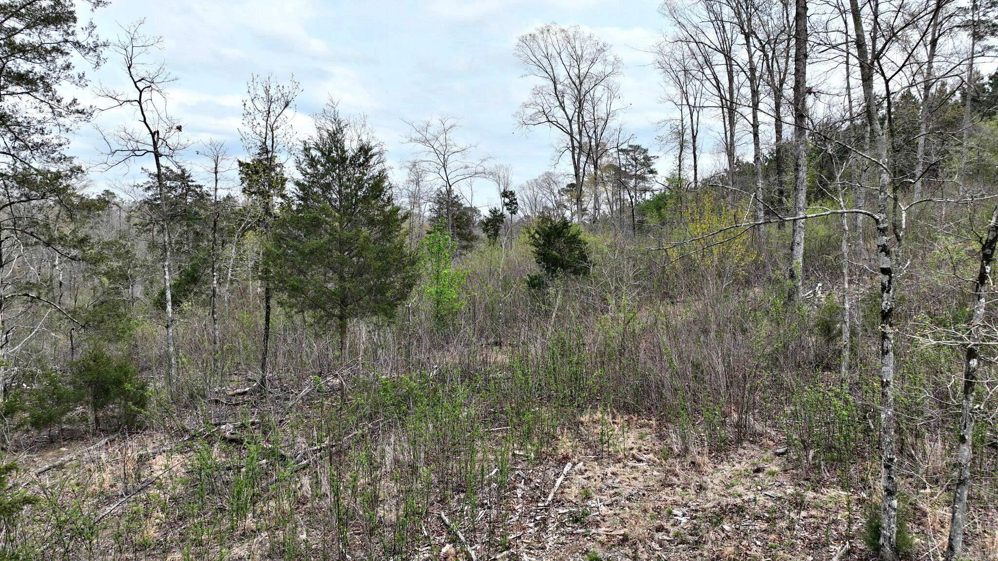 152  Polk Road 685  Mena, AR