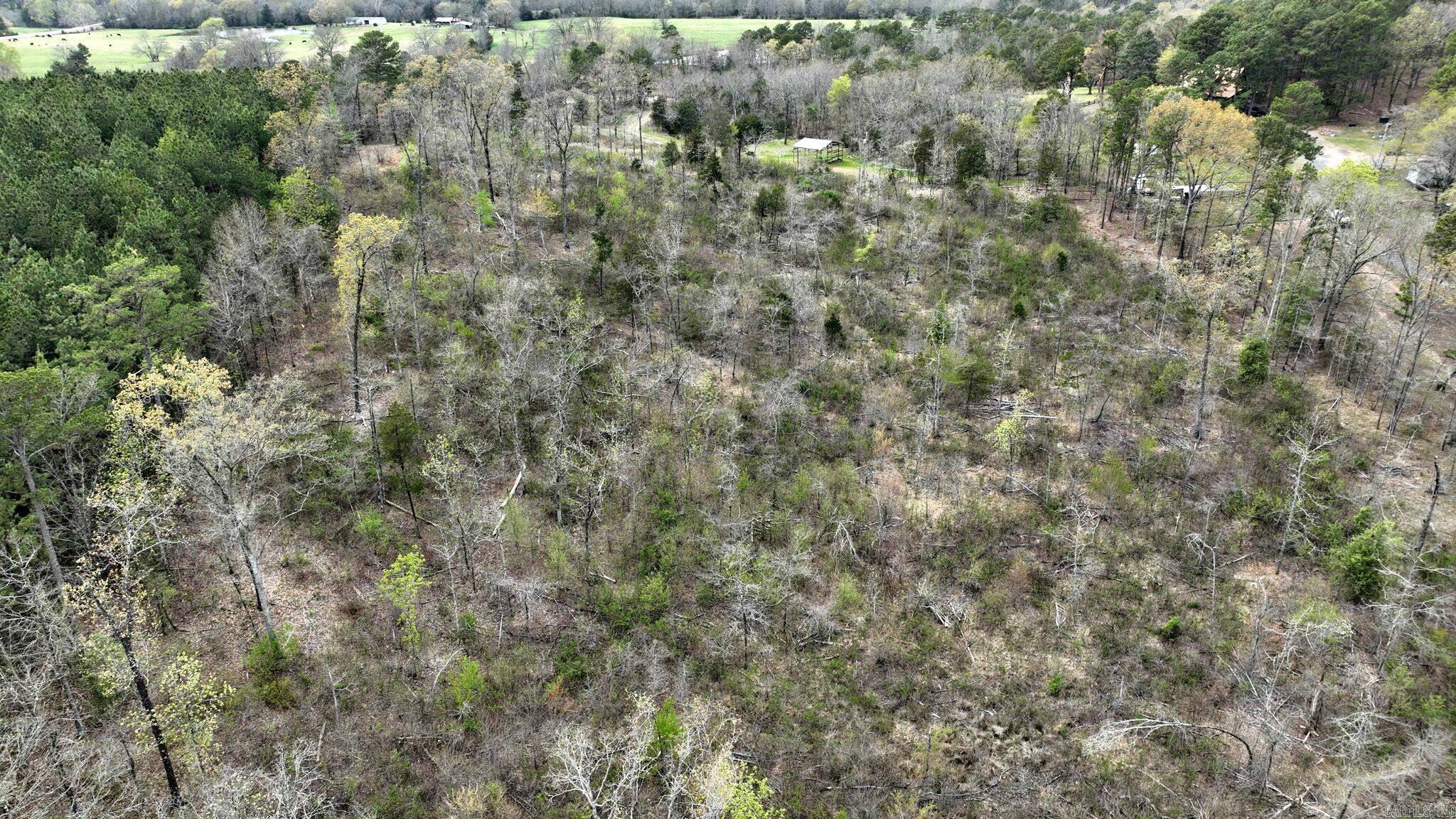 152  Polk Road 685  Mena, AR