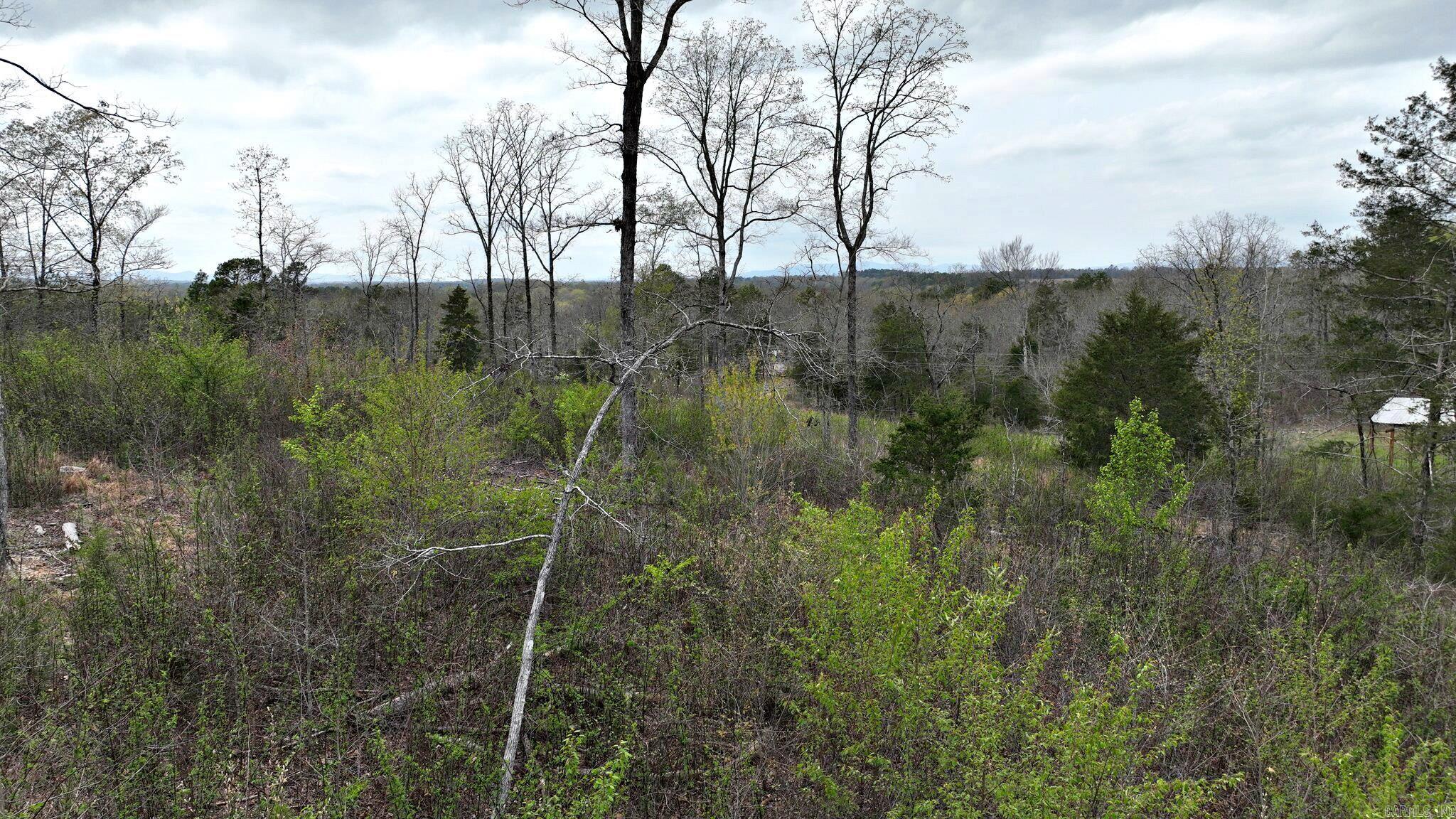 152  Polk Road 685  Mena, AR