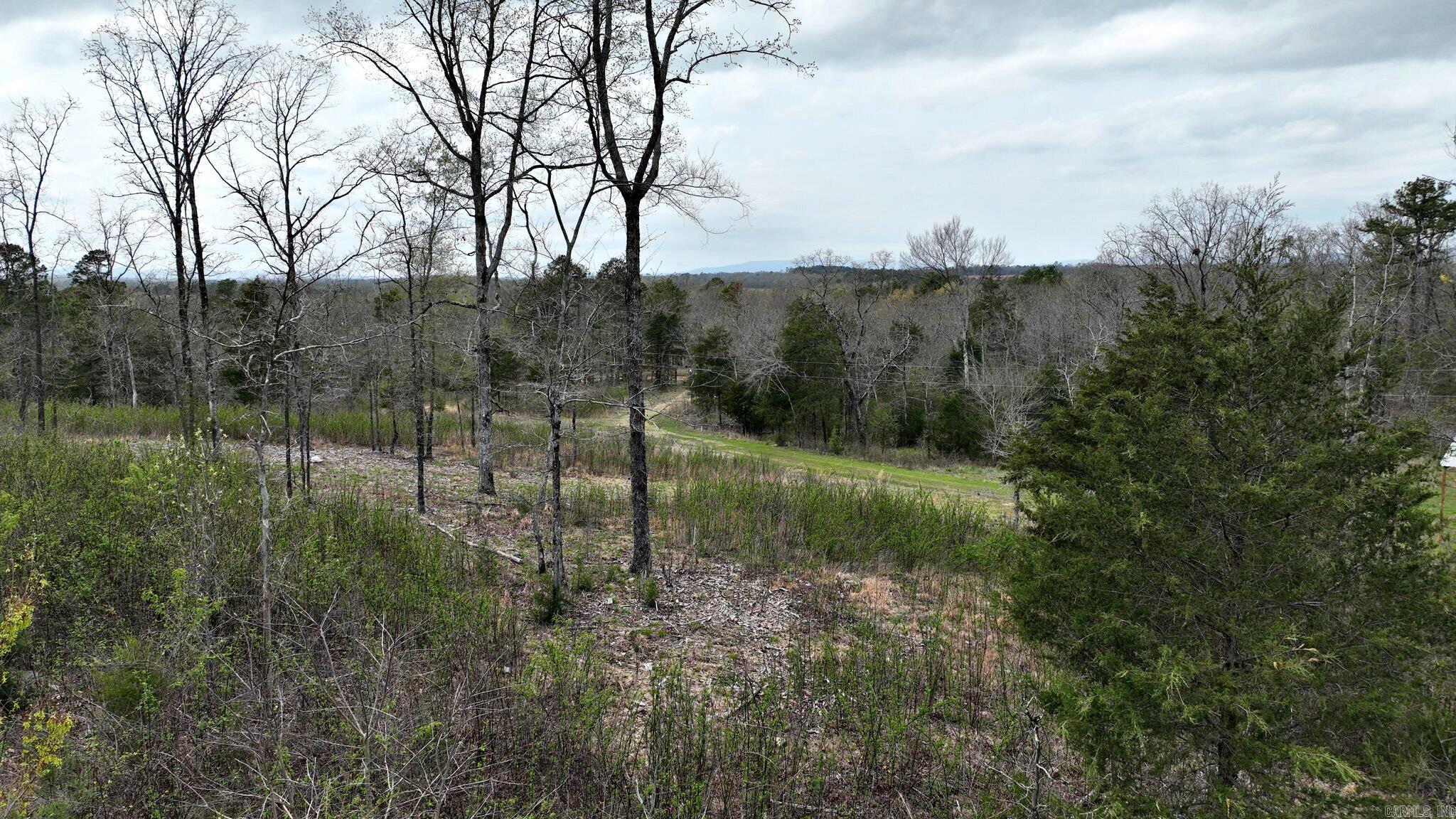 152  Polk Road 685  Mena, AR