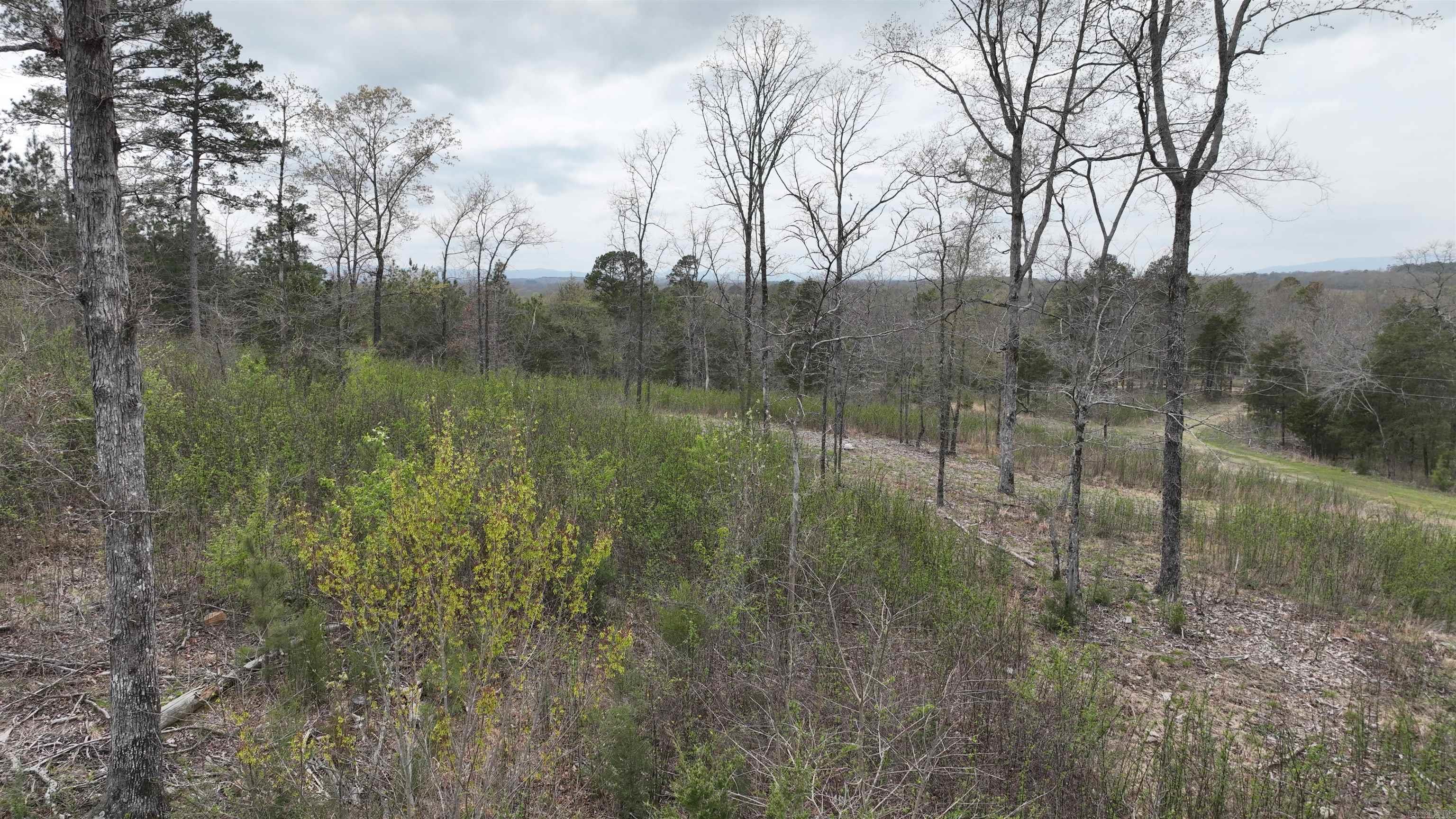 152  Polk Road 685  Mena, AR