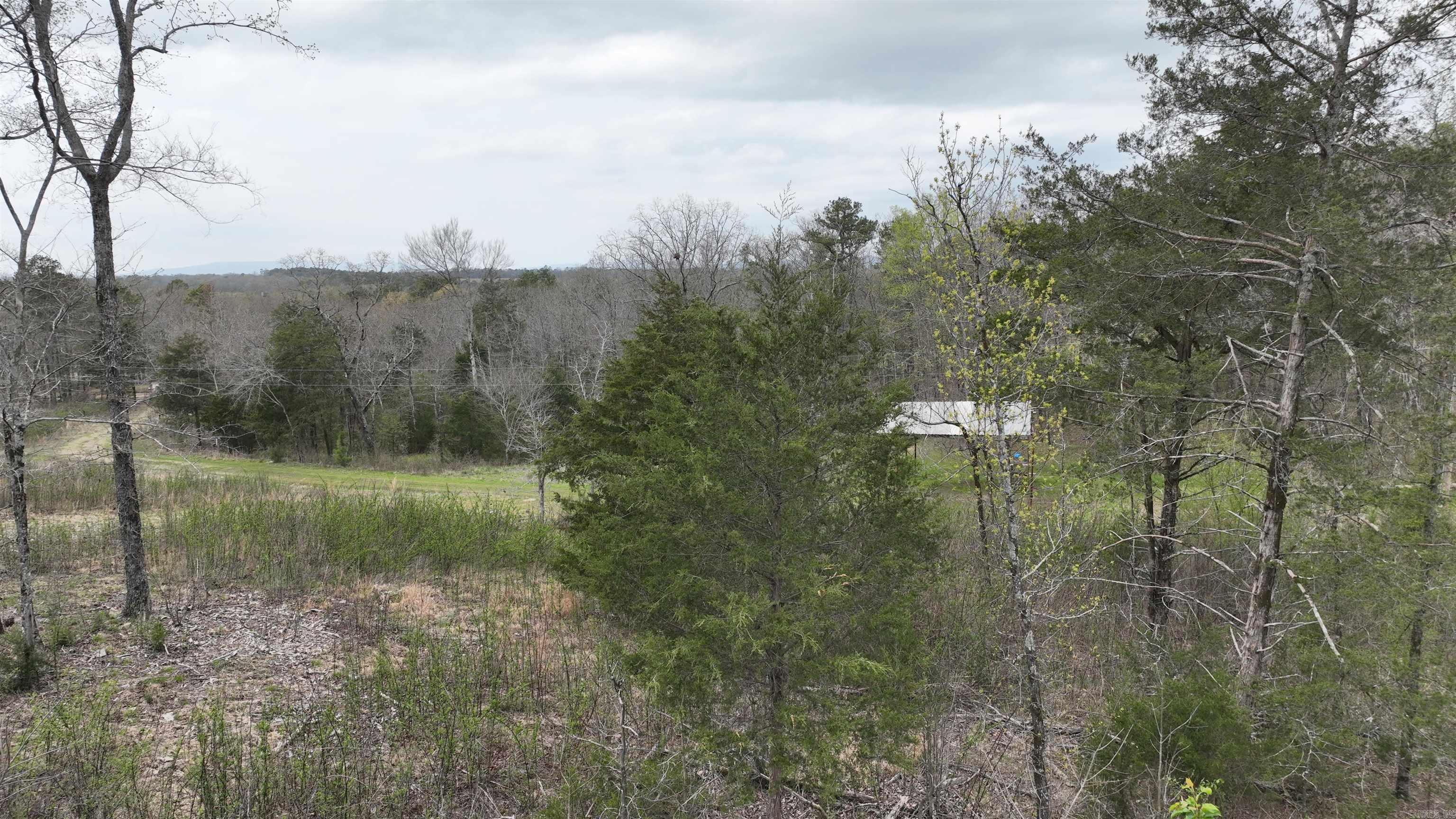 152  Polk Road 685  Mena, AR