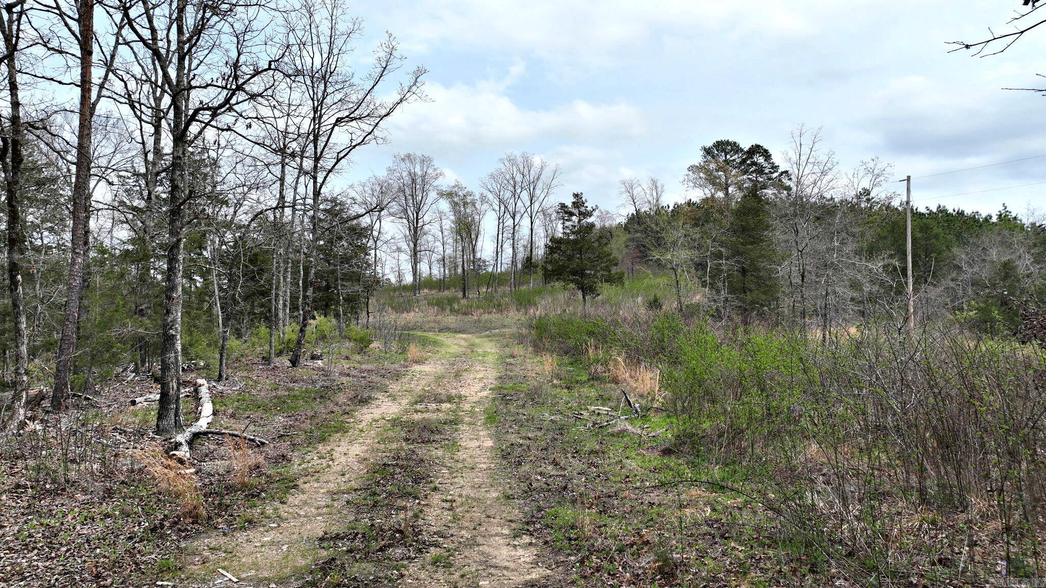 152  Polk Road 685  Mena, AR