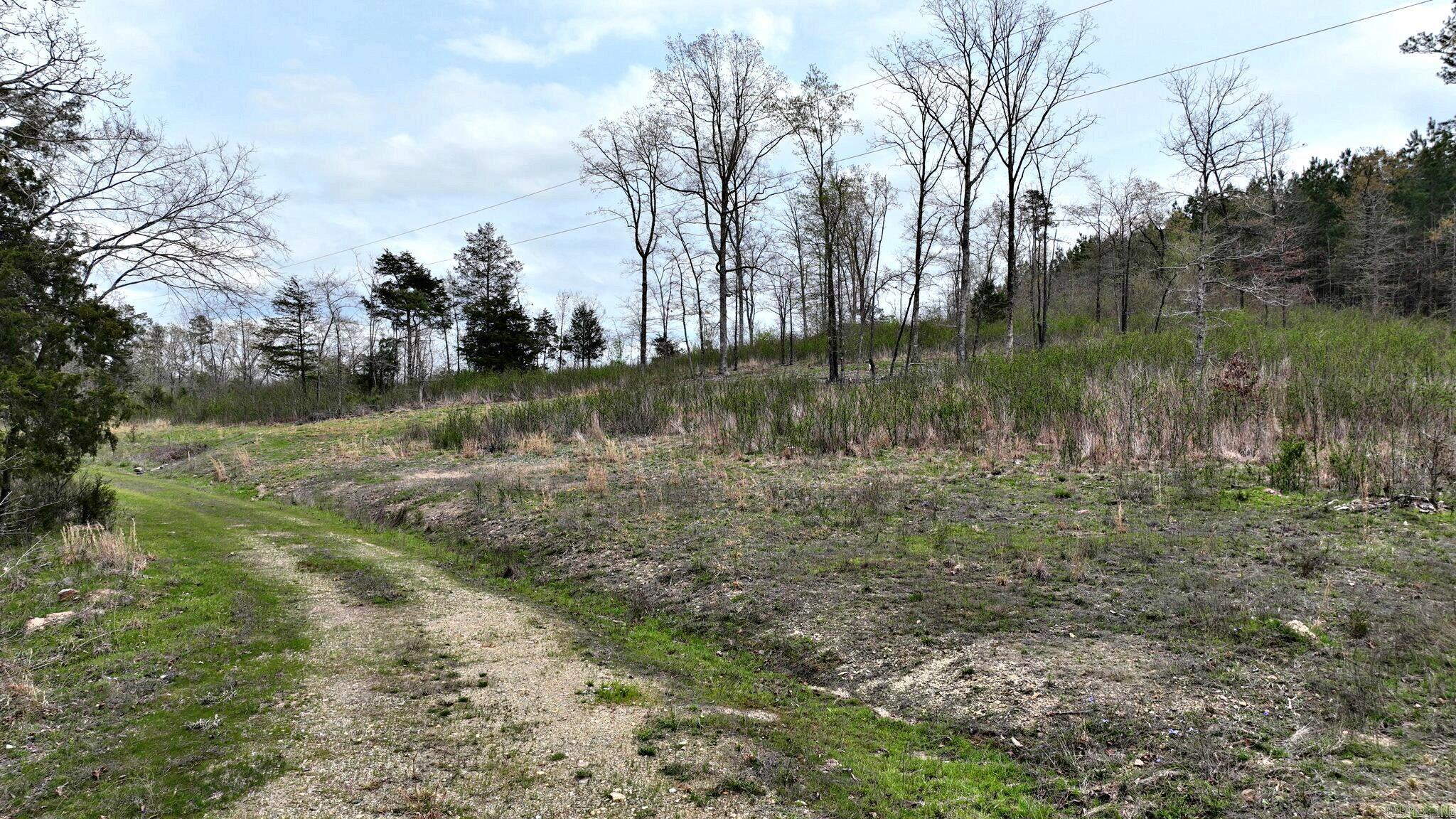 152  Polk Road 685  Mena, AR